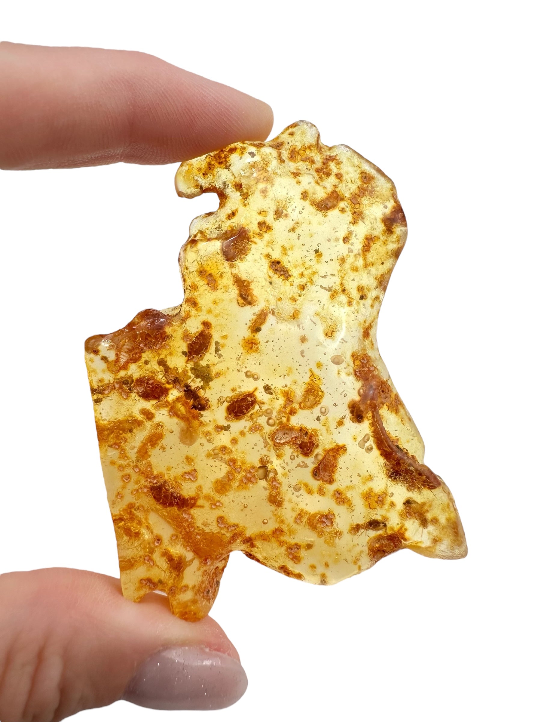 Insects in young amber (copal) 17,1g – Colombia - IK04