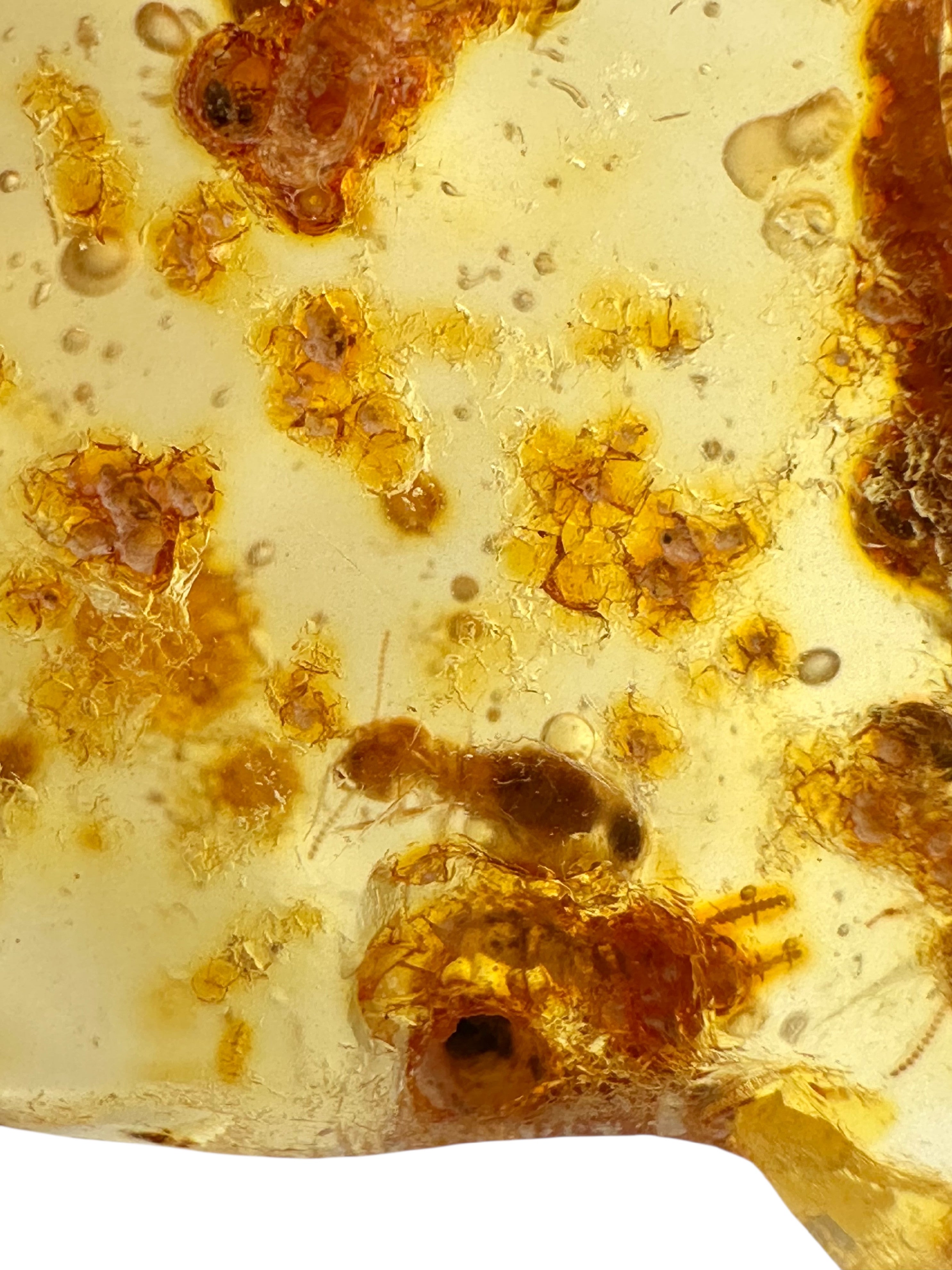 Insects in young amber (copal) 17,1g – Colombia - IK04
