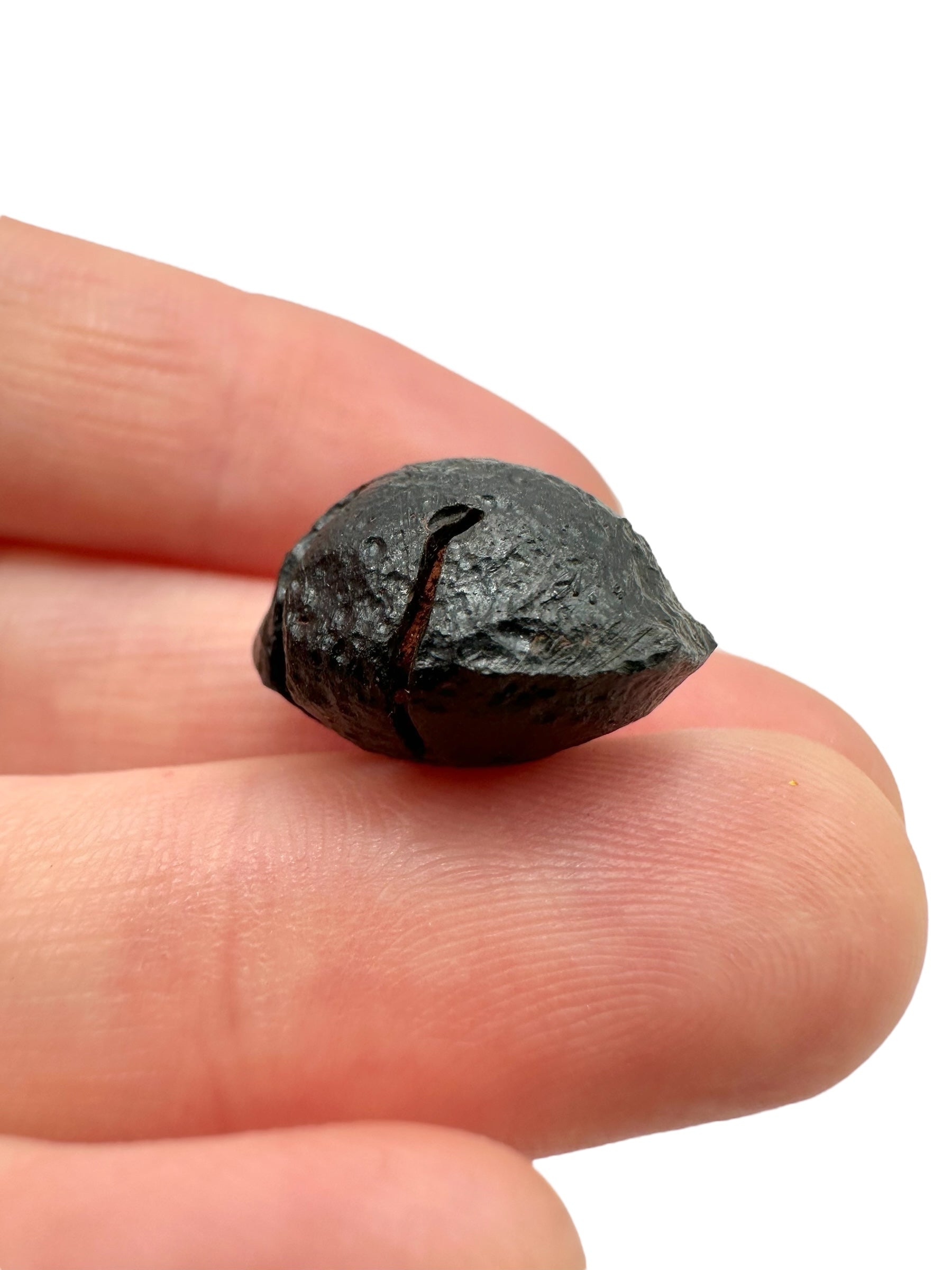 Australite "button" 2,9g – Kalgoorlie, Western Australia - AU077
