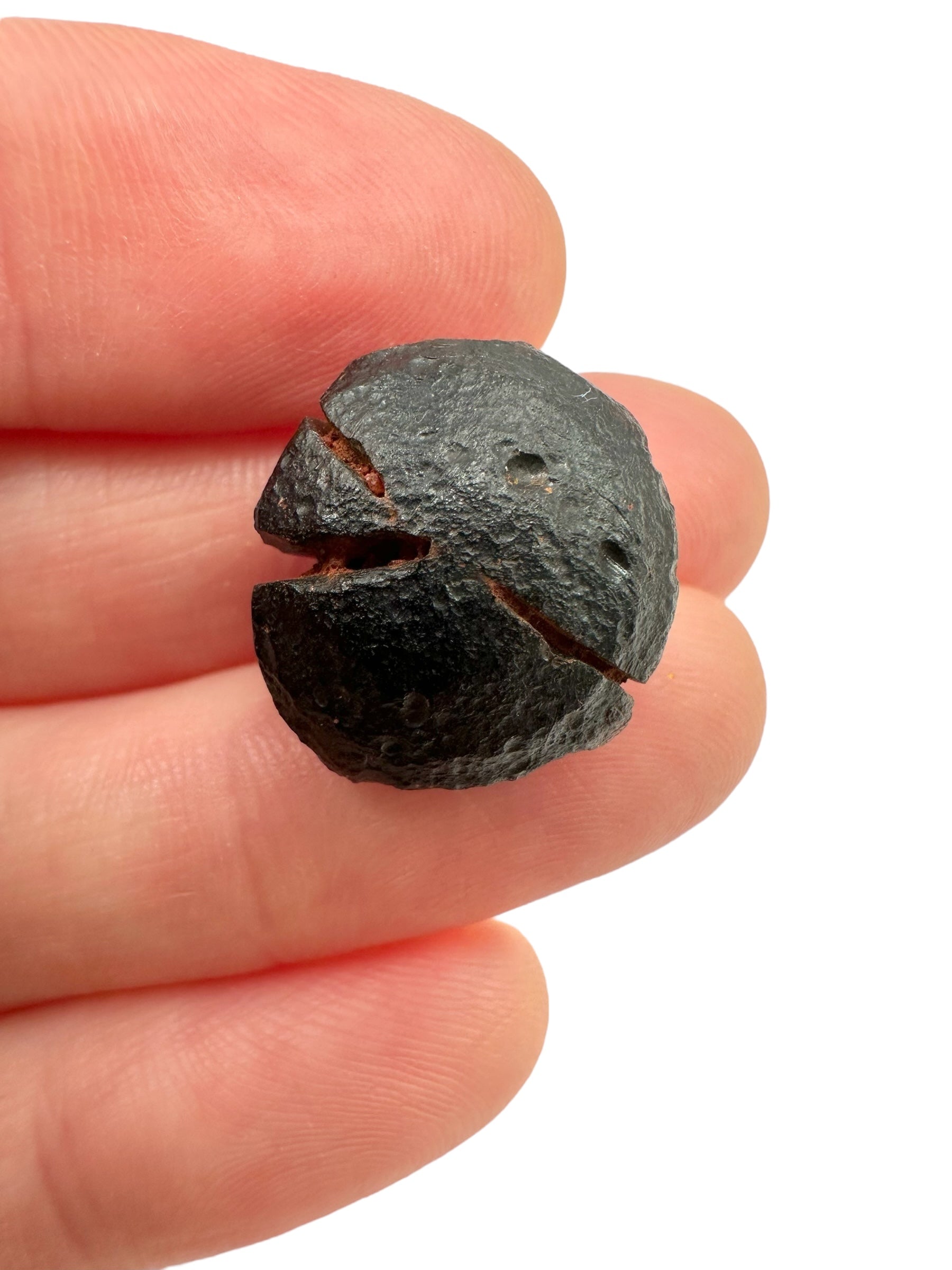 Australite "button" 2,9g – Kalgoorlie, Western Australia
