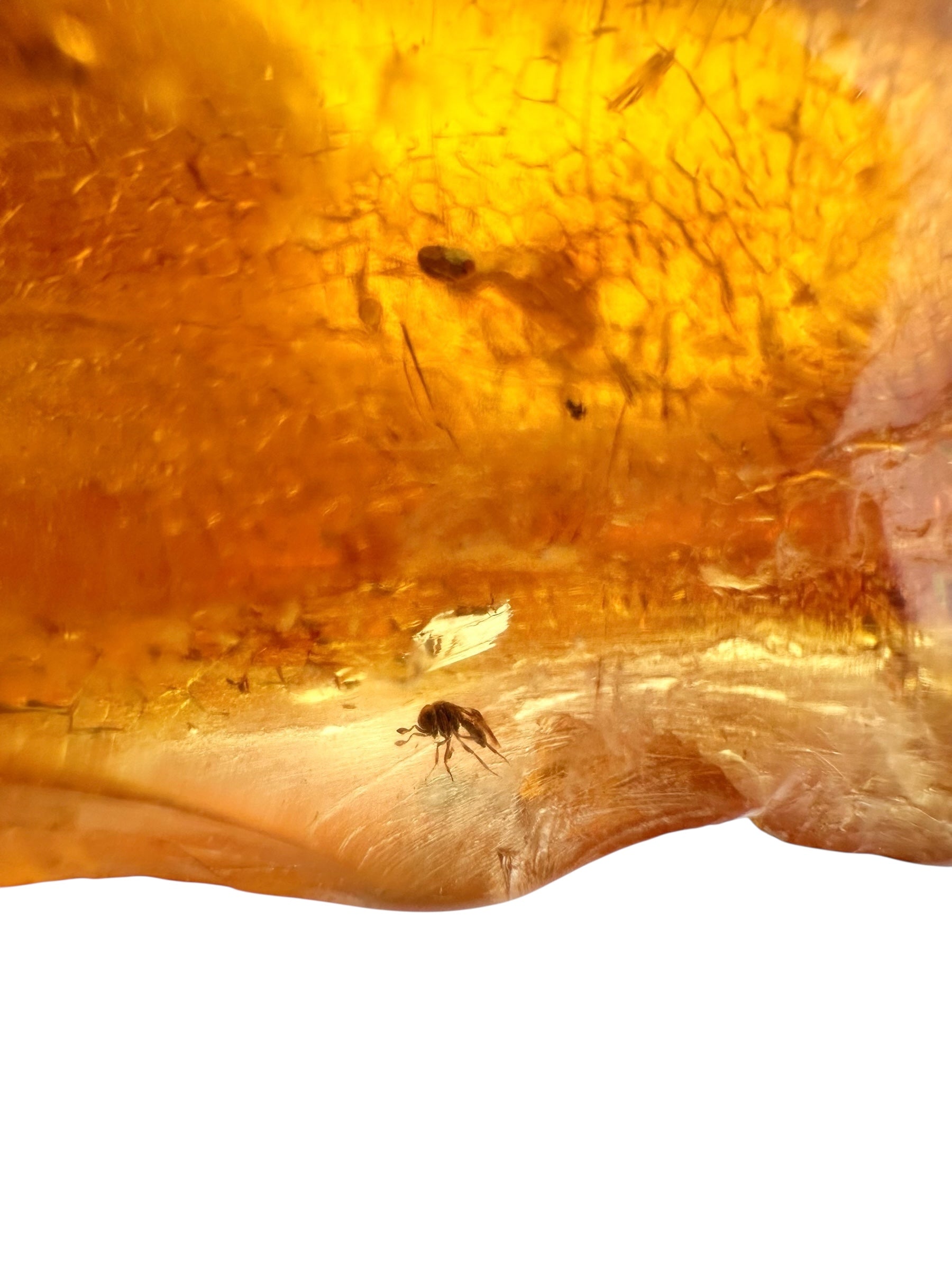 Insects in young amber (copal) 18,1g – Colombia - IK05