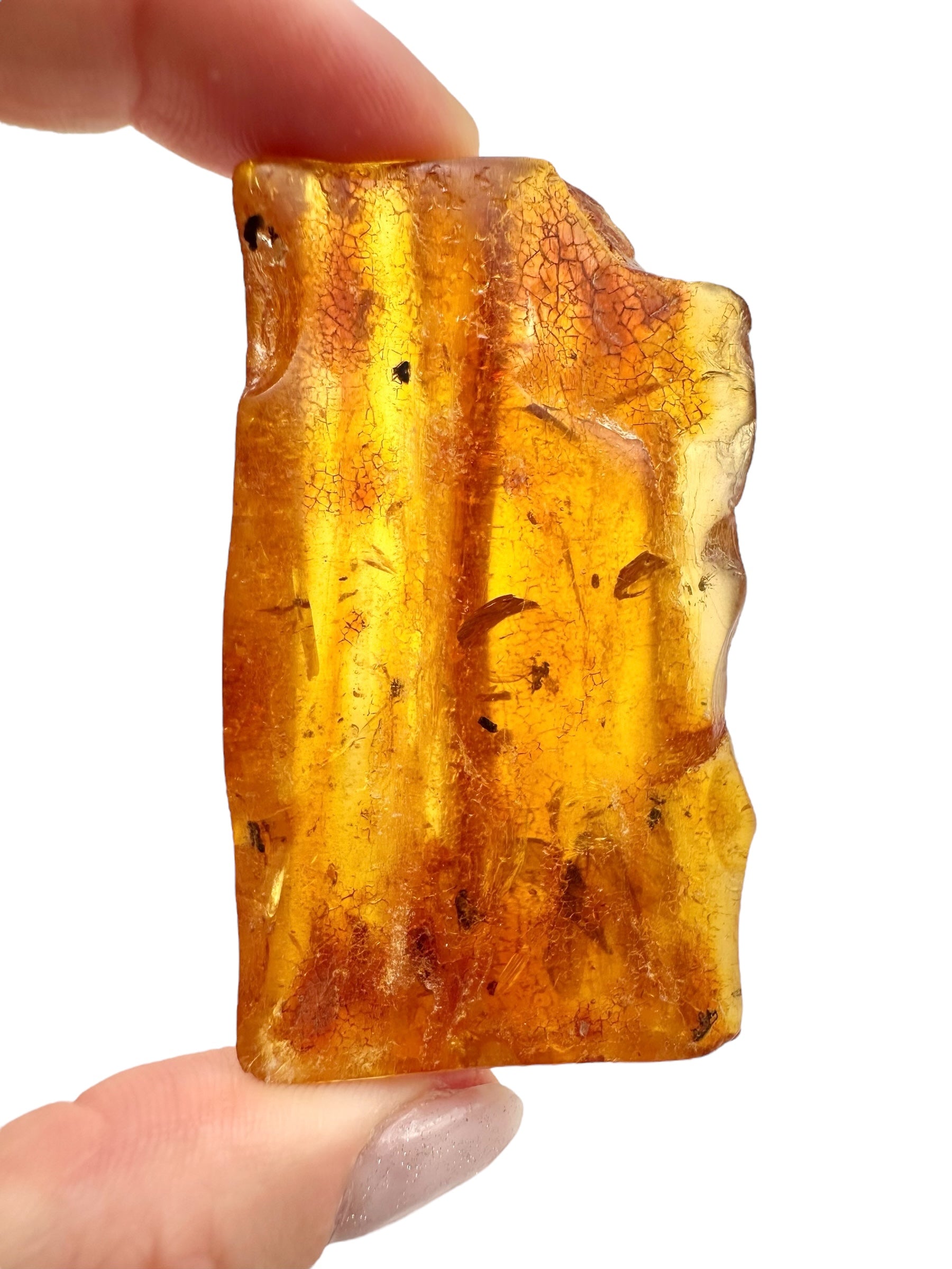 Insects in young amber (copal) 18,1g – Colombia - IK05