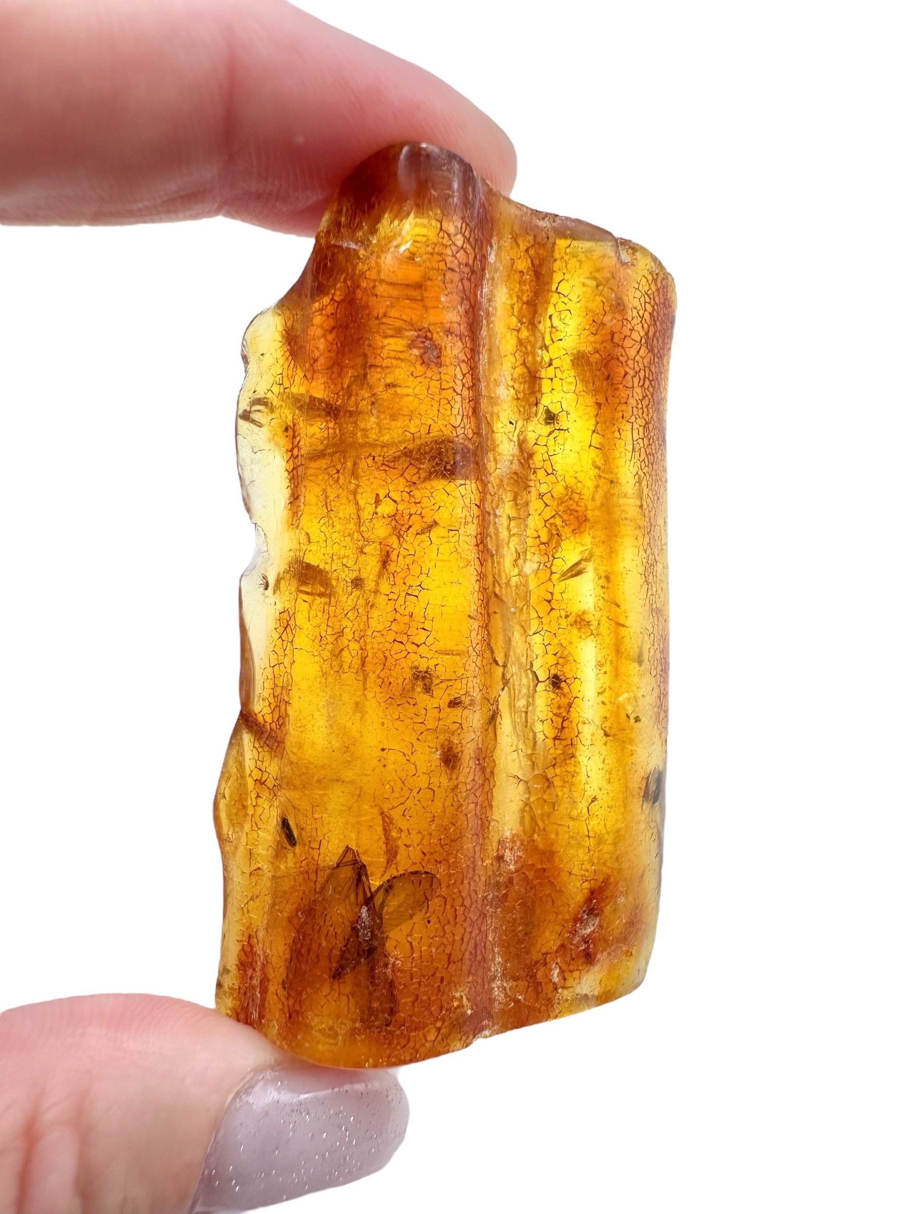 Insects in young amber (copal) 18,1g – Colombia