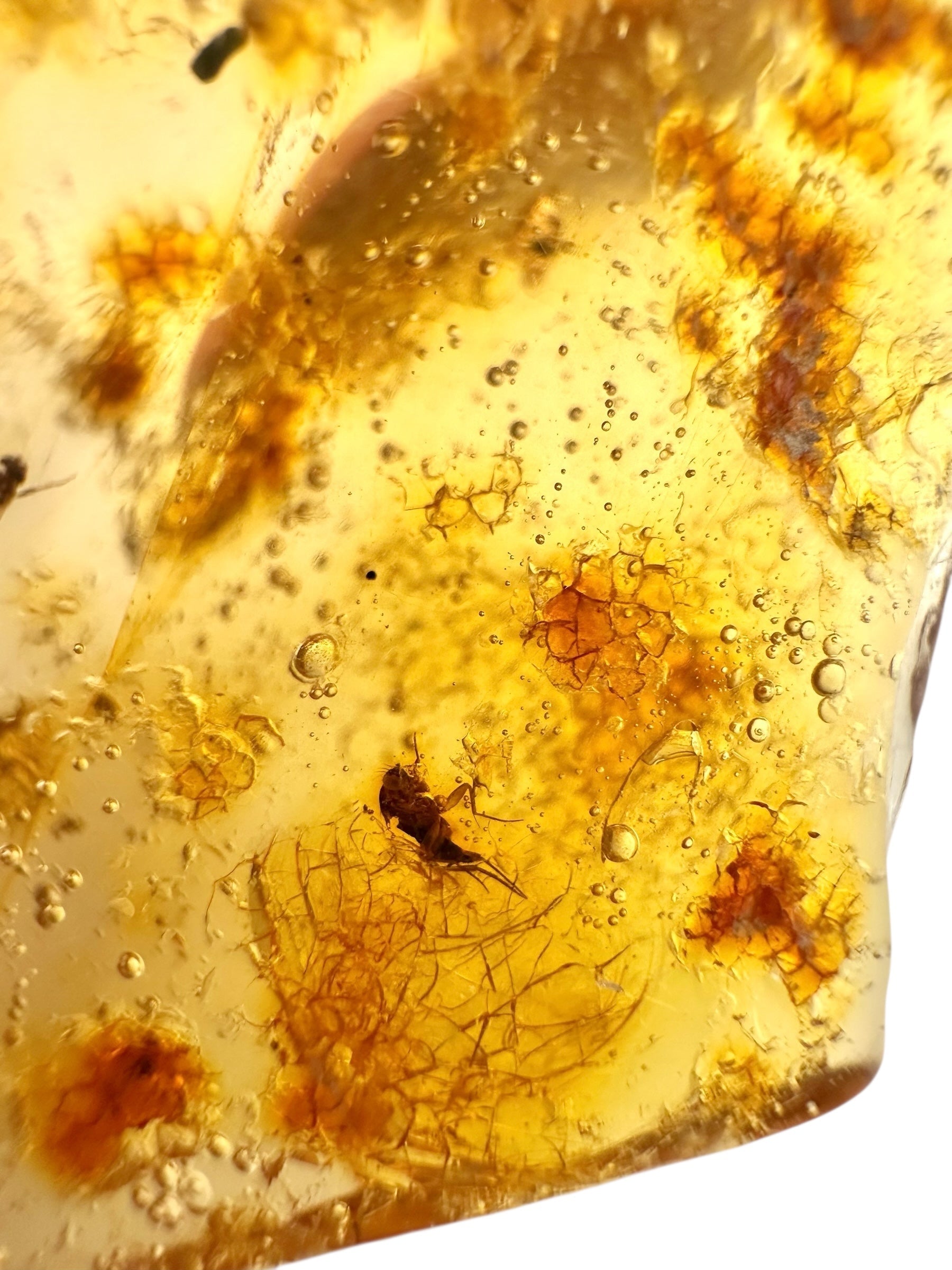 Insects in young amber (copal) 14g – Colombia - IK06