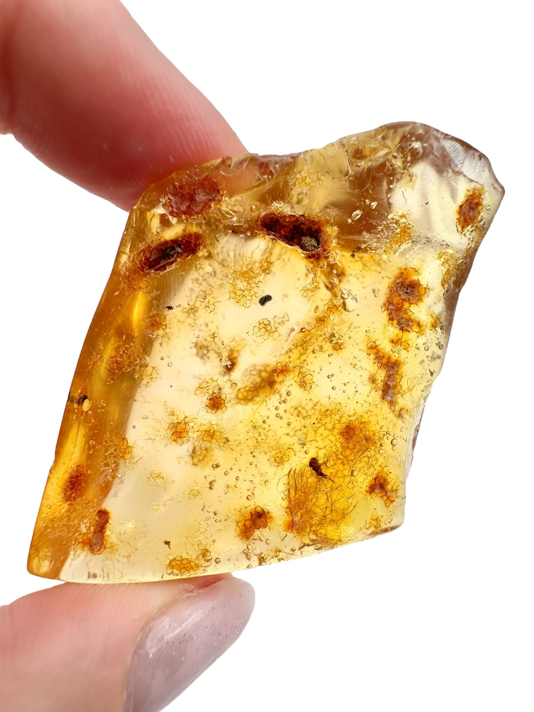Insects in young amber (copal) 14g – Colombia - IK06