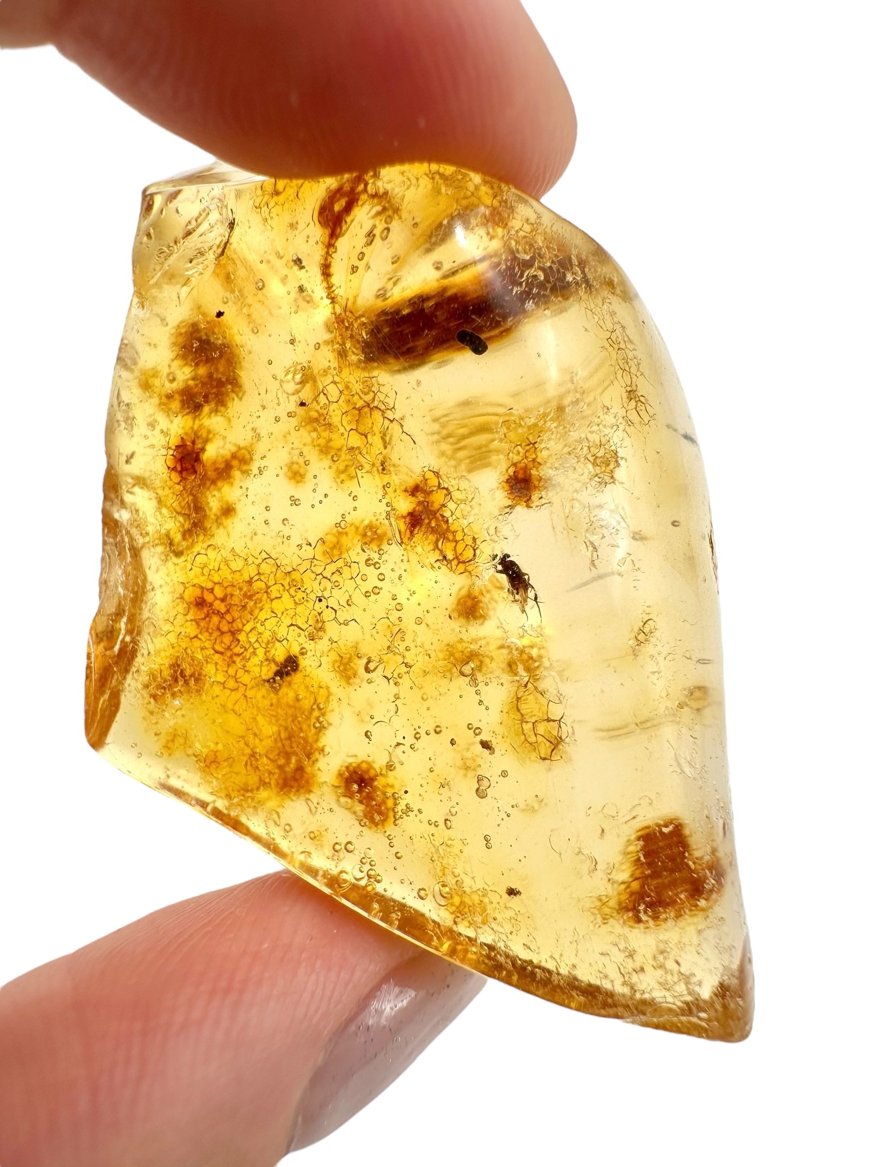 Insects in young amber (copal) 14g – Colombia