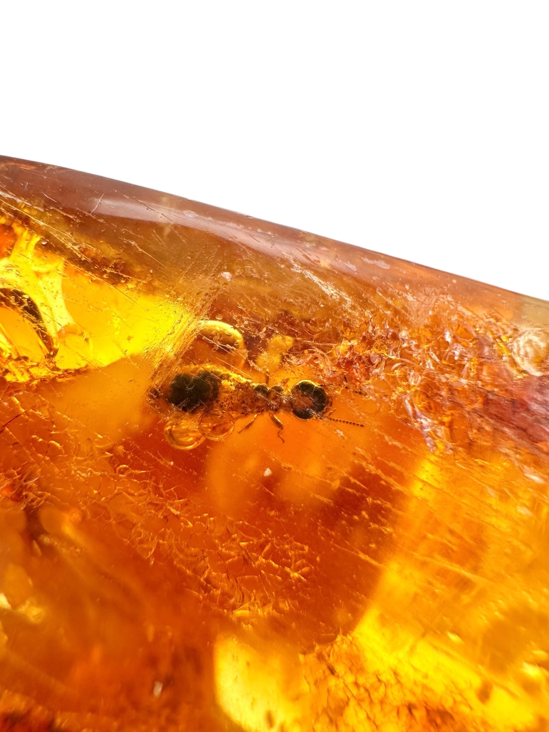 Insects in young amber (copal) 42,9g – Colombia - IK07