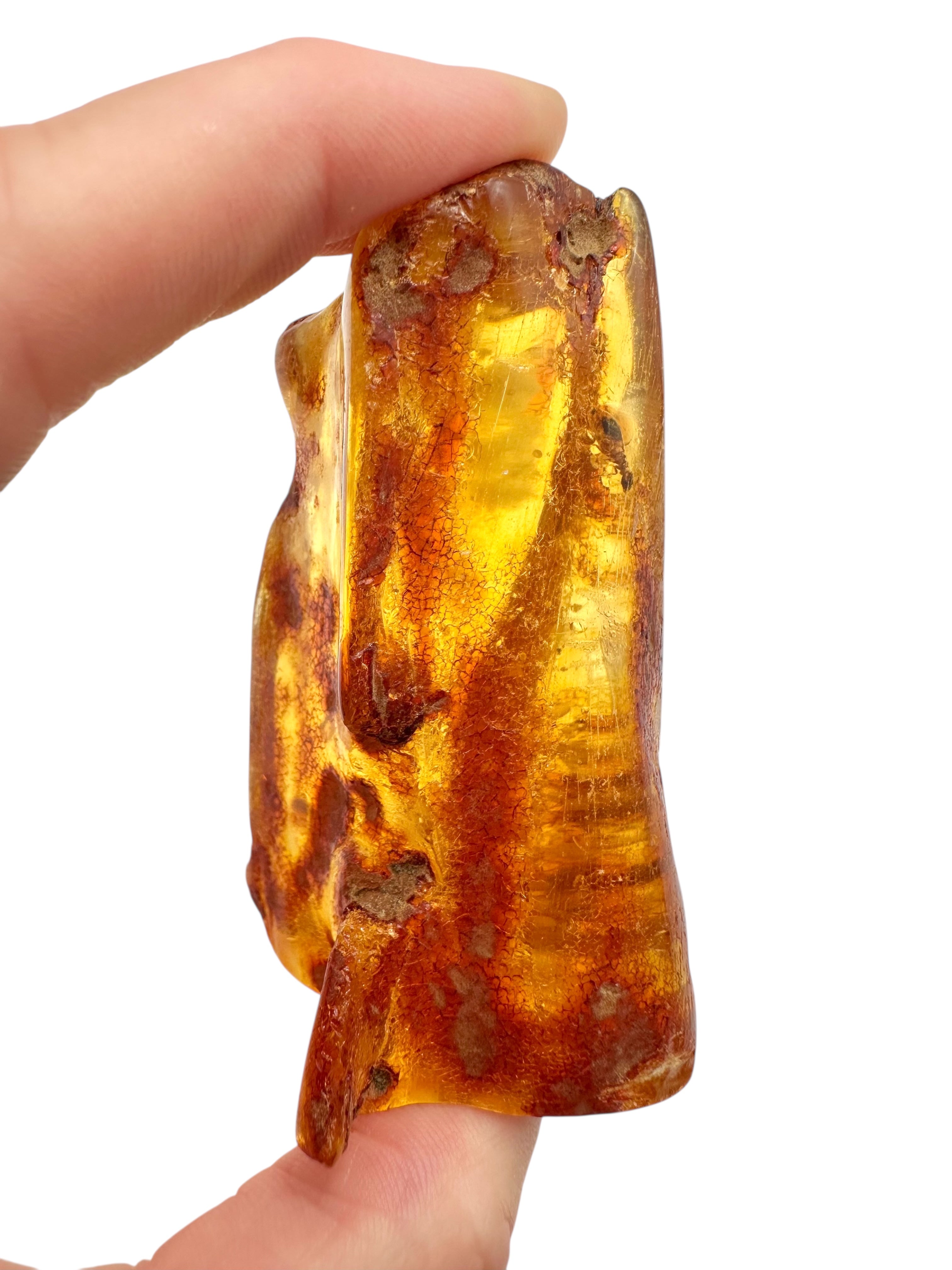 Insects in young amber (copal) 42,9g – Colombia