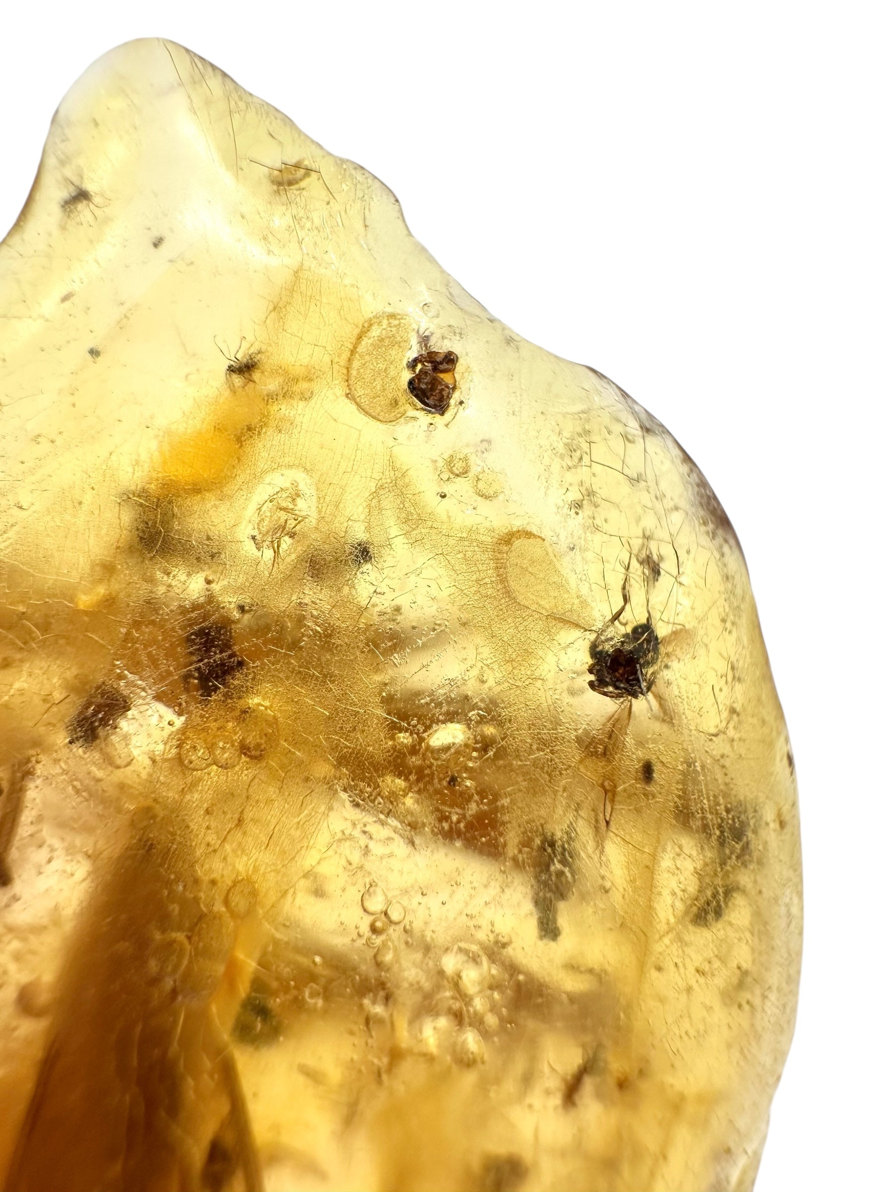 Insects in young amber (copal) 7,9g – Colombia - IK10