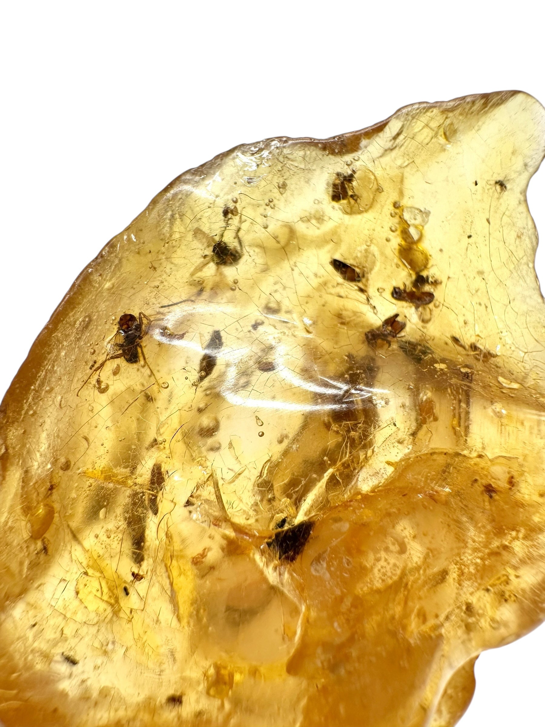 Insects in young amber (copal) 7,9g – Colombia - IK10