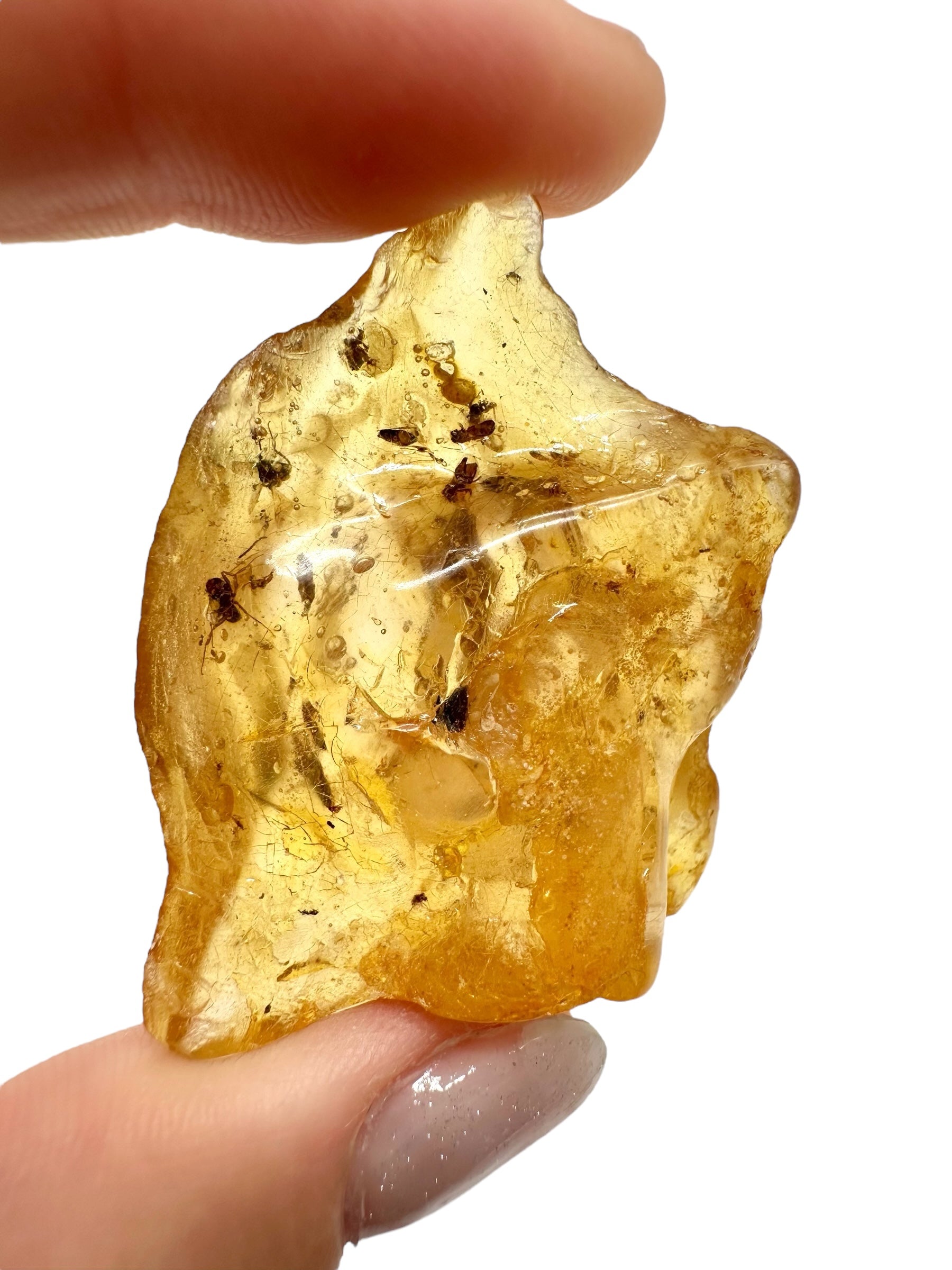 Insects in young amber (copal) 7,9g – Colombia - IK10