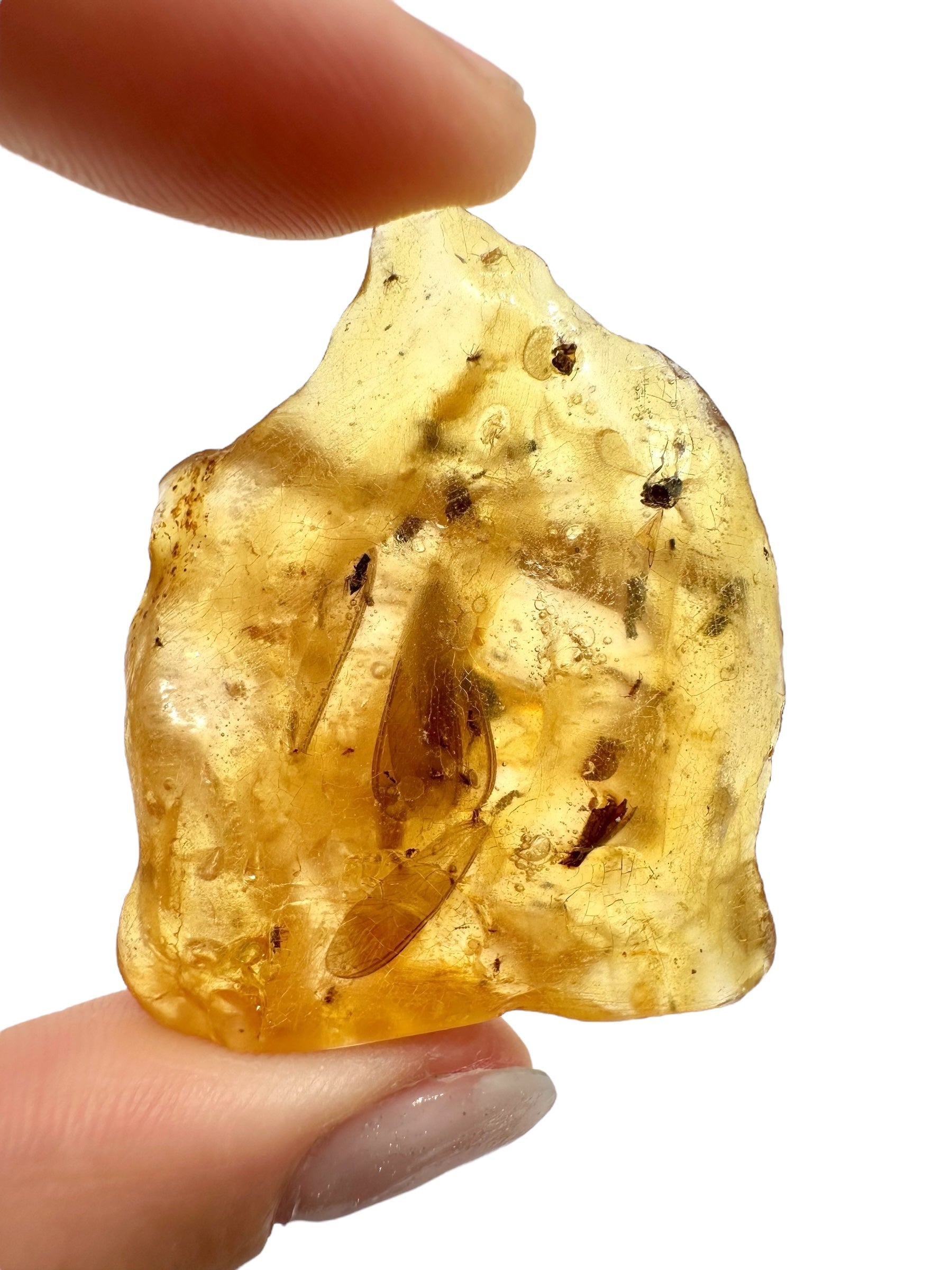Insects in young amber (copal) 7,9g – Colombia