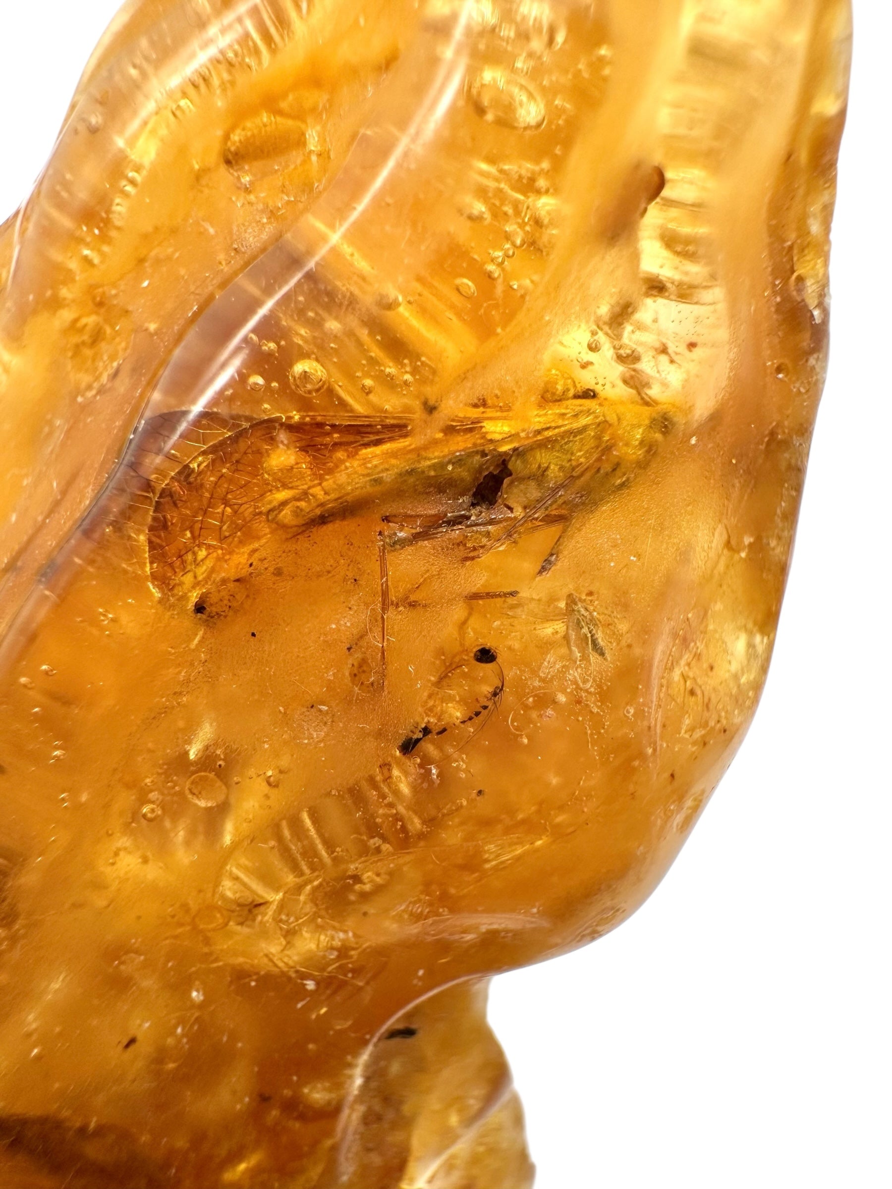 Insects in young amber (copal) 25,6g – Colombia - IK11