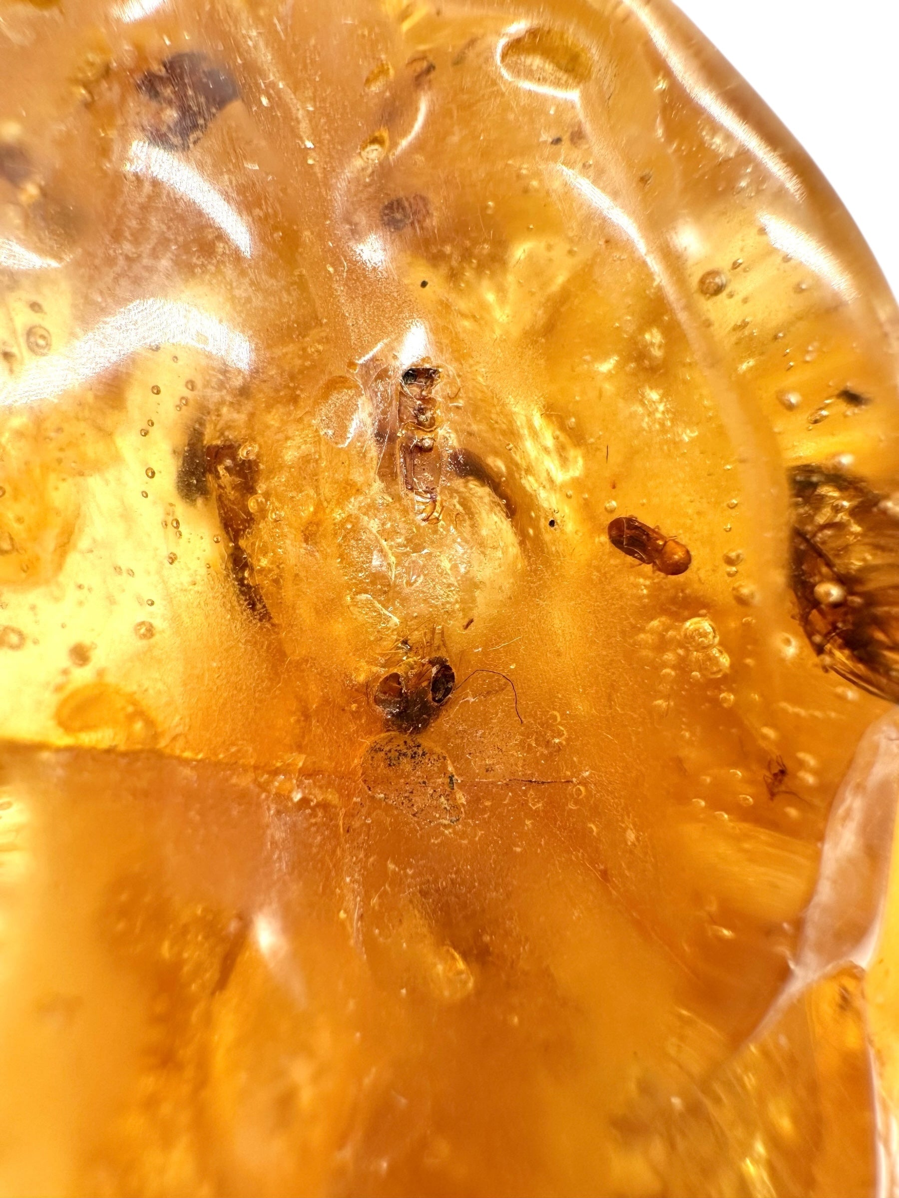 Insects in young amber (copal) 25,6g – Colombia - IK11