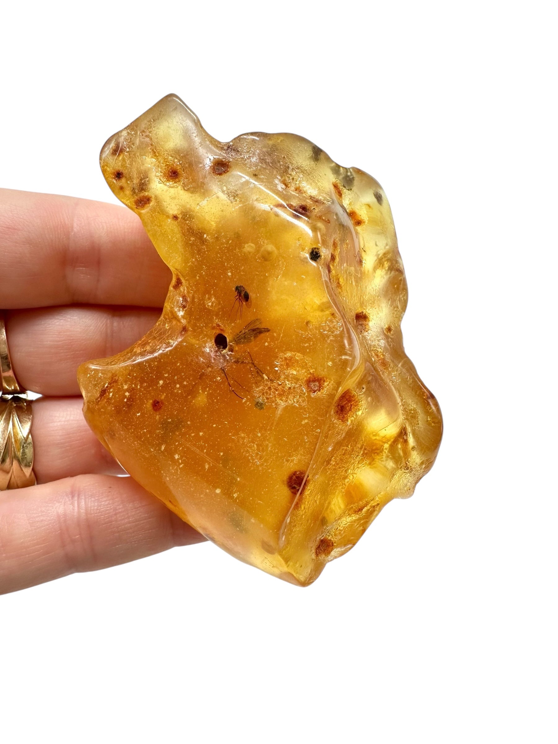 Insects in young amber (copal) 46,5g – Colombia - IK12