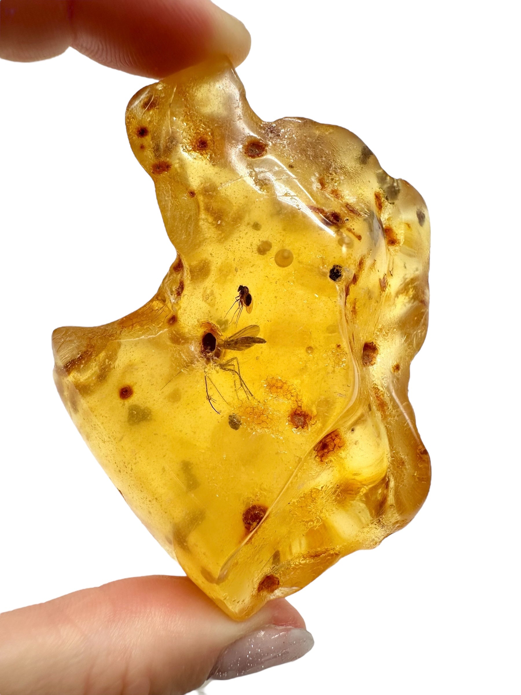 Insects in young amber (copal) 46,5g – Colombia