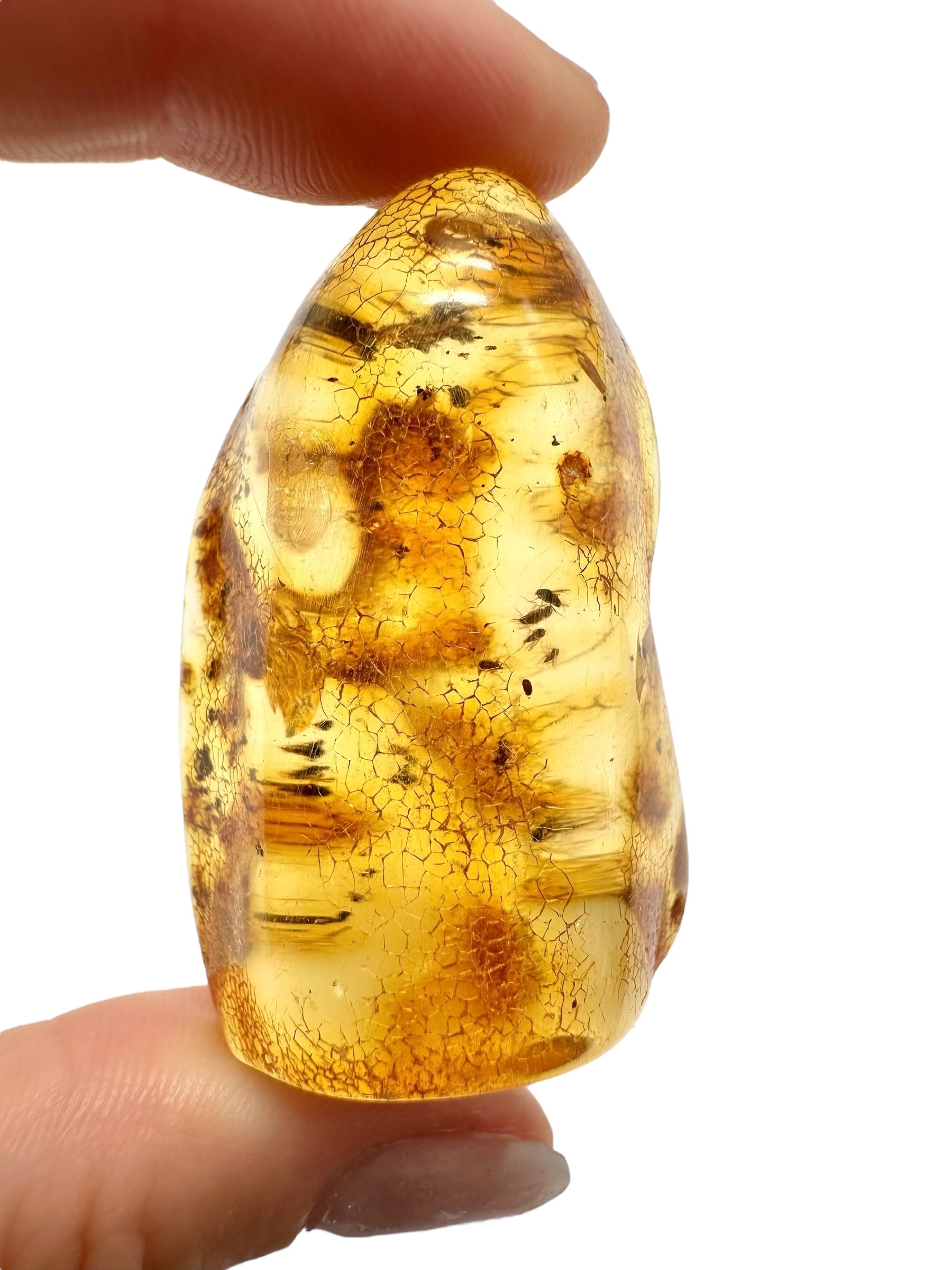 Insects in young amber (copal) 12,3g – Colombia