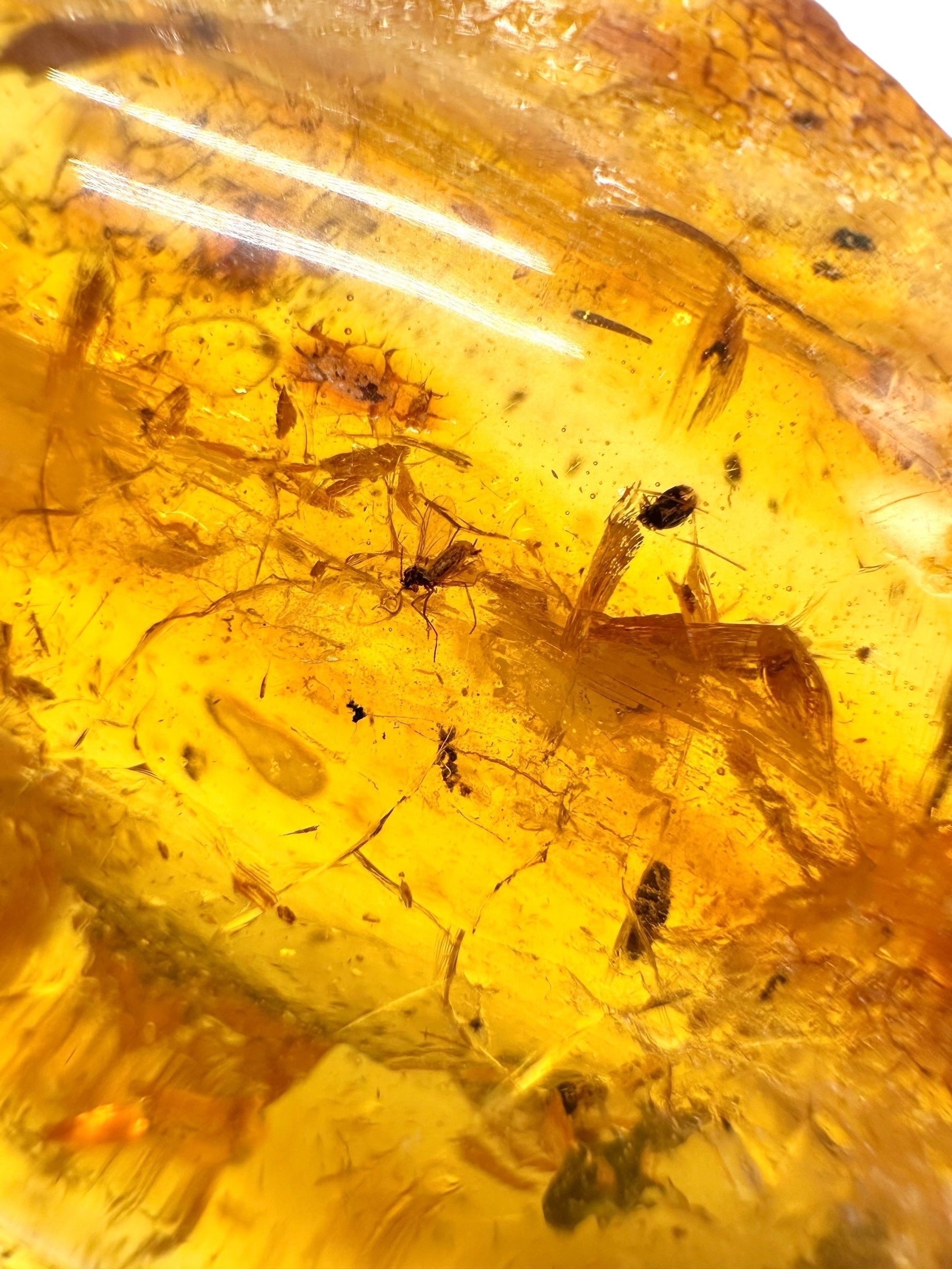 Insects in young amber (copal) 13,2g – Colombia - IK14
