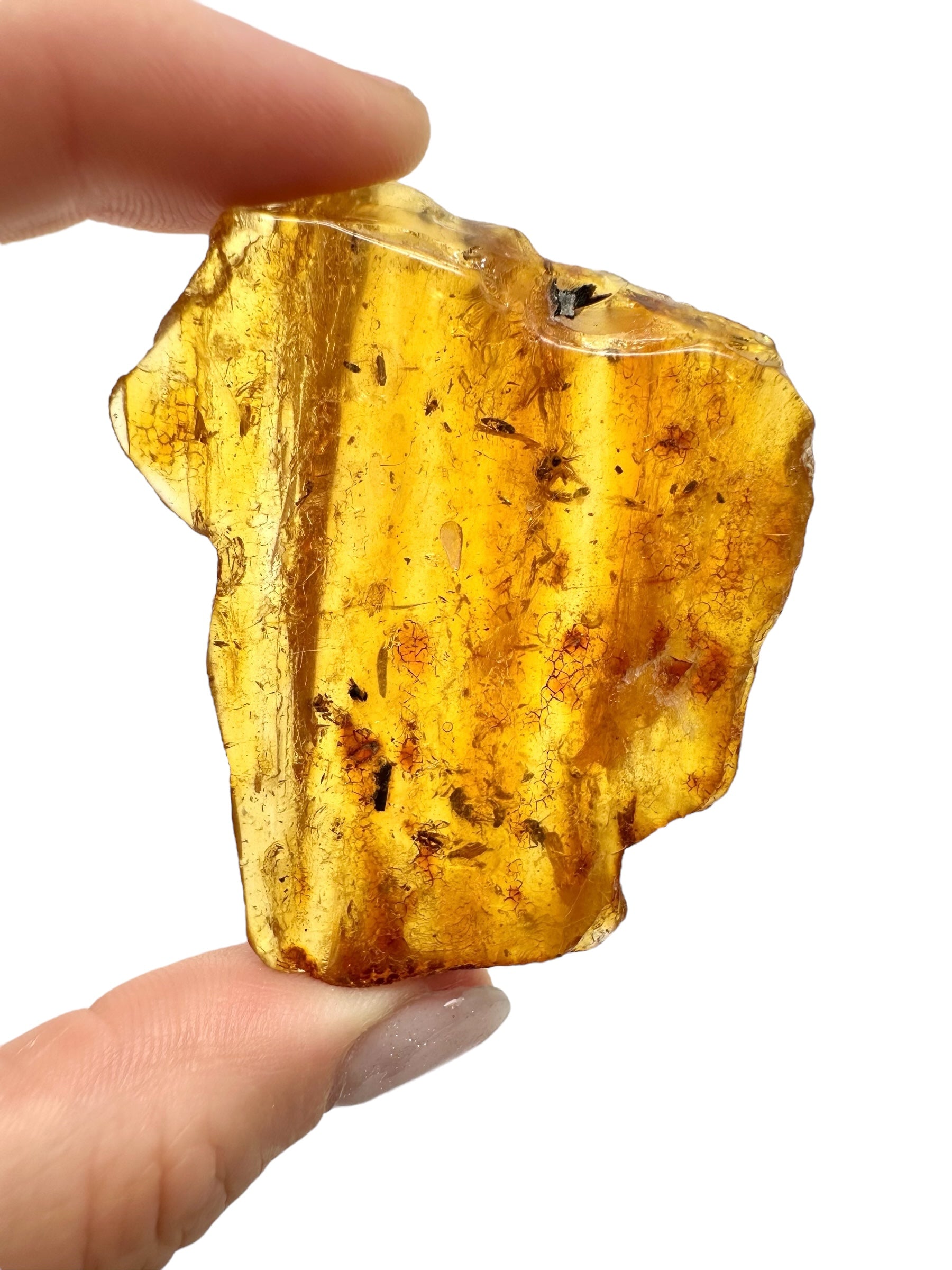 Insects in young amber (copal) 13,2g – Colombia - IK14