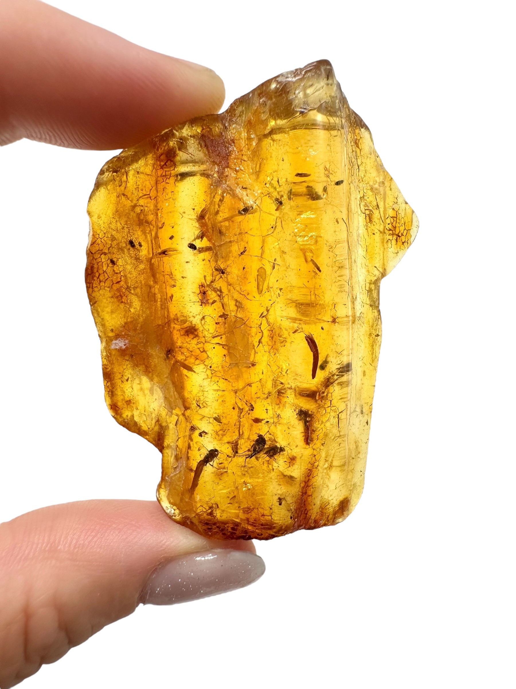 Insects in young amber (copal) 13,2g – Colombia