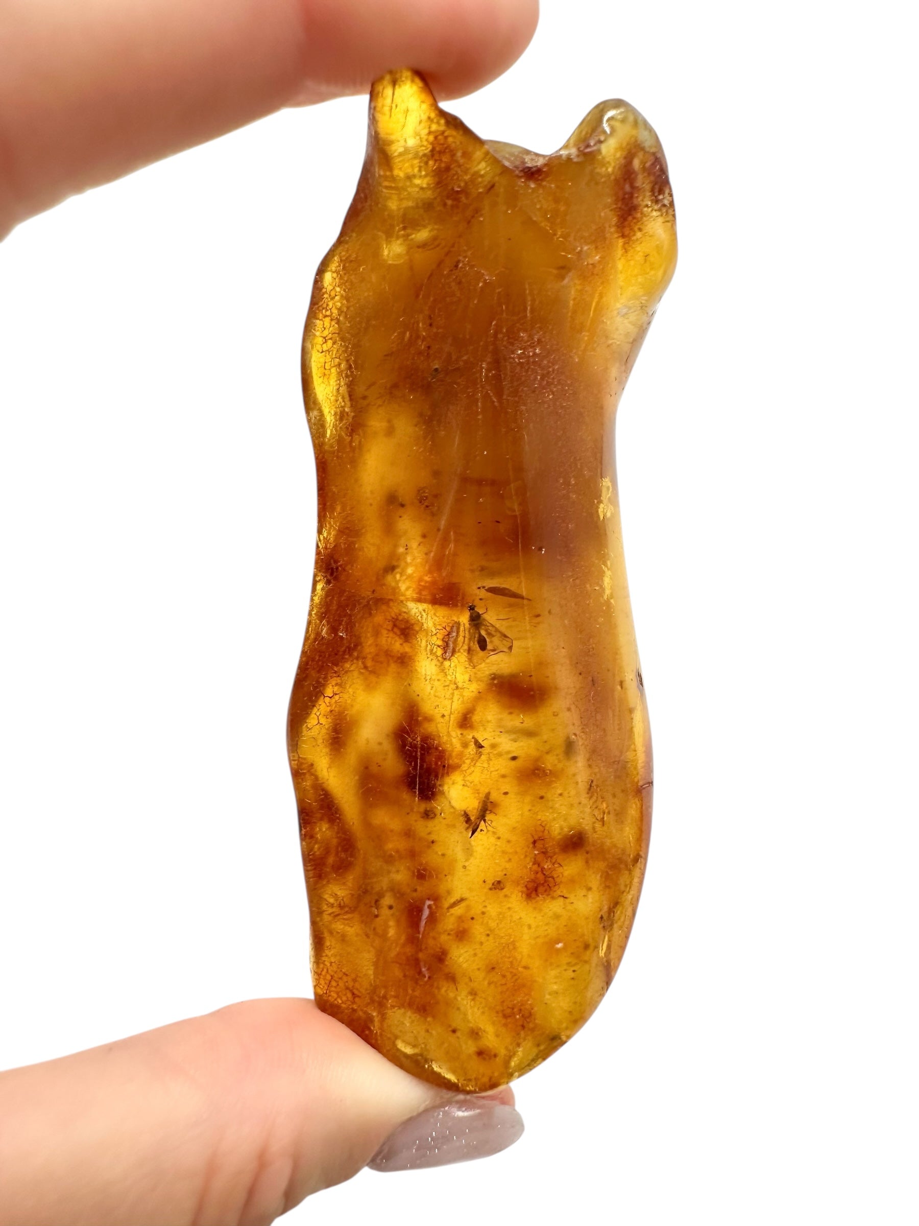 Insects in young amber (copal) 26,9g – Colombia