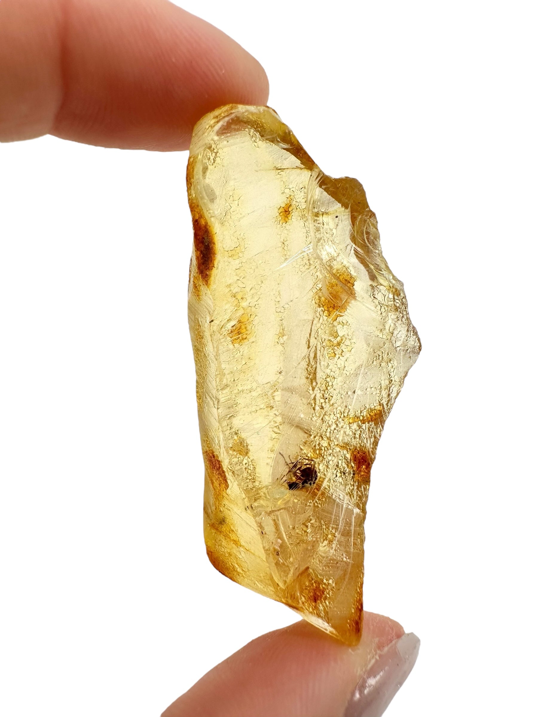 Insects in young amber (copal) 7,6g – Colombia