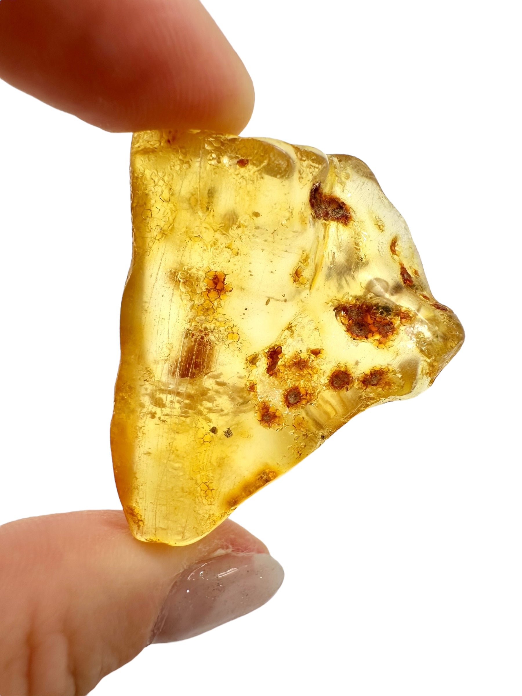 Insects in young amber (copal) 8,8g – Colombia - IK17
