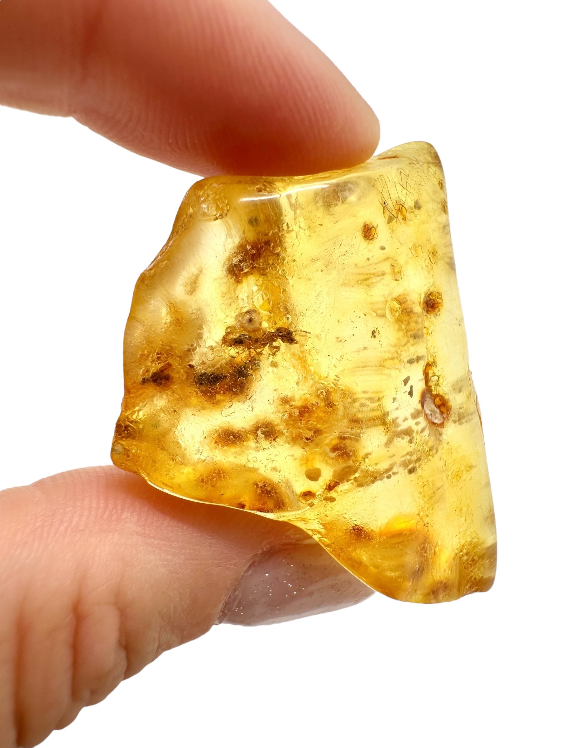 Insects in young amber (copal) 8,8g – Colombia