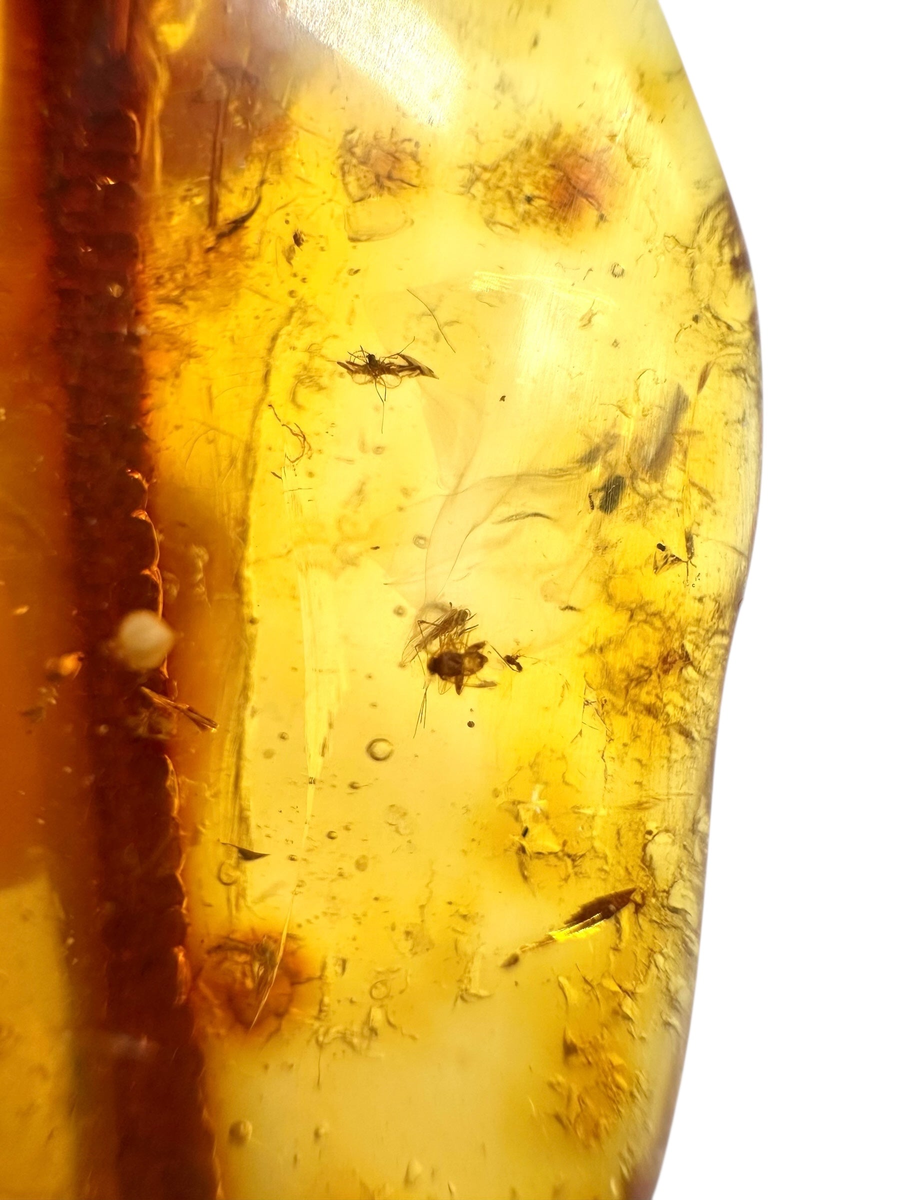 Insects in young amber (copal) 10,1g – Colombia - IK18