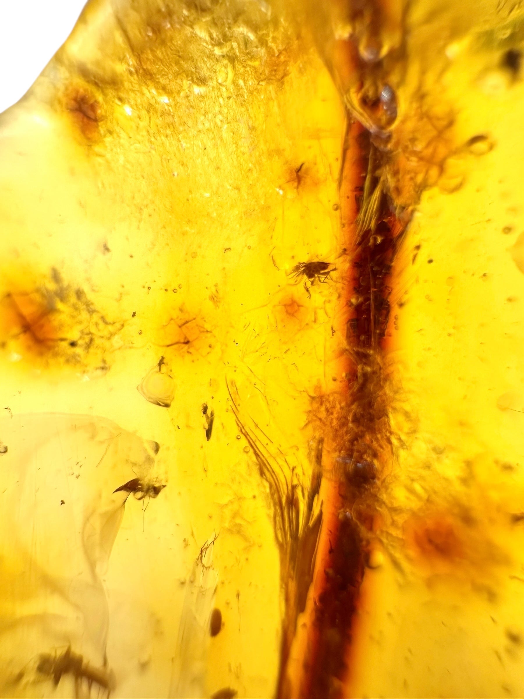 Insects in young amber (copal) 10,1g – Colombia - IK18