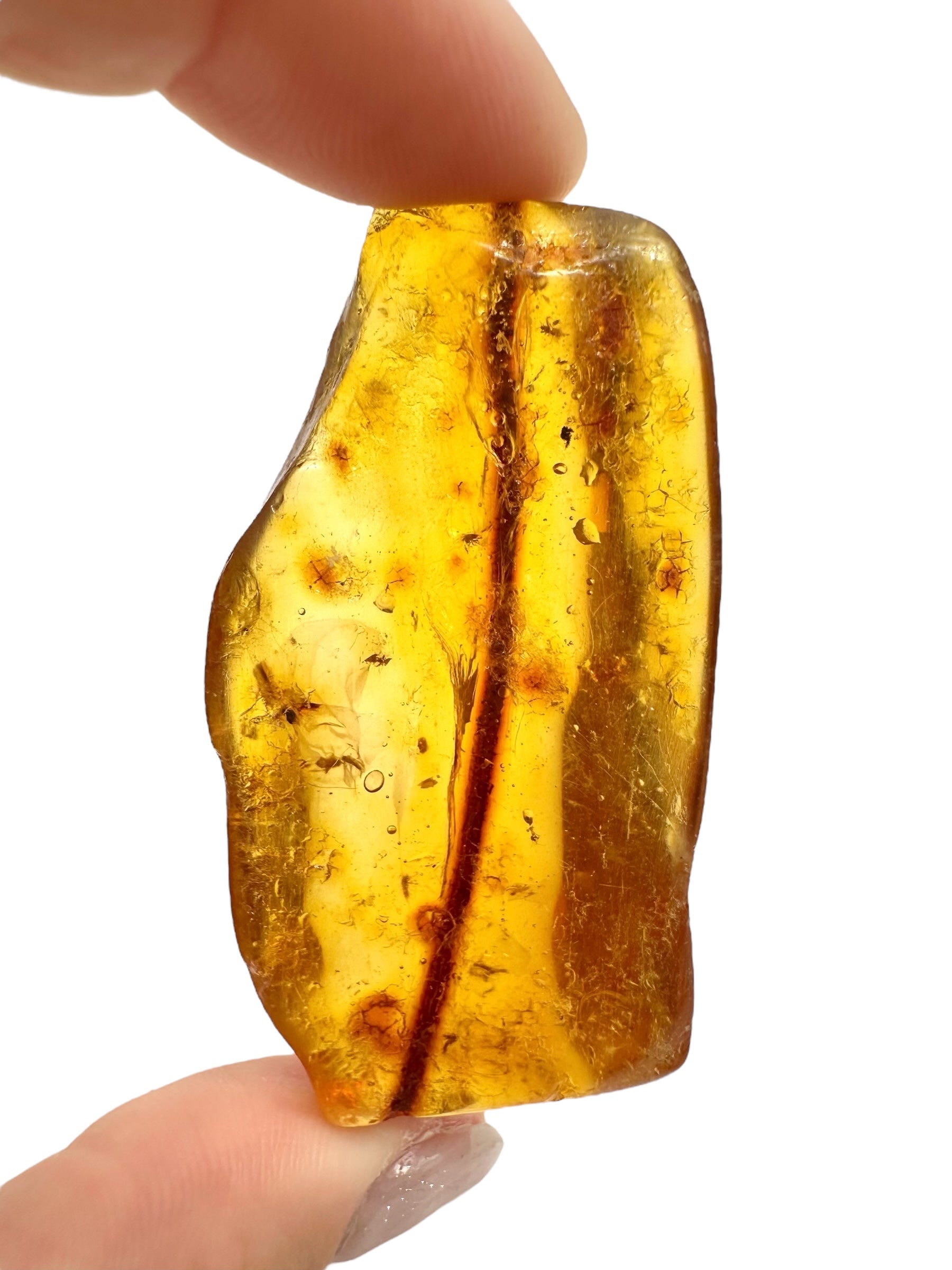 Insects in young amber (copal) 10,1g – Colombia