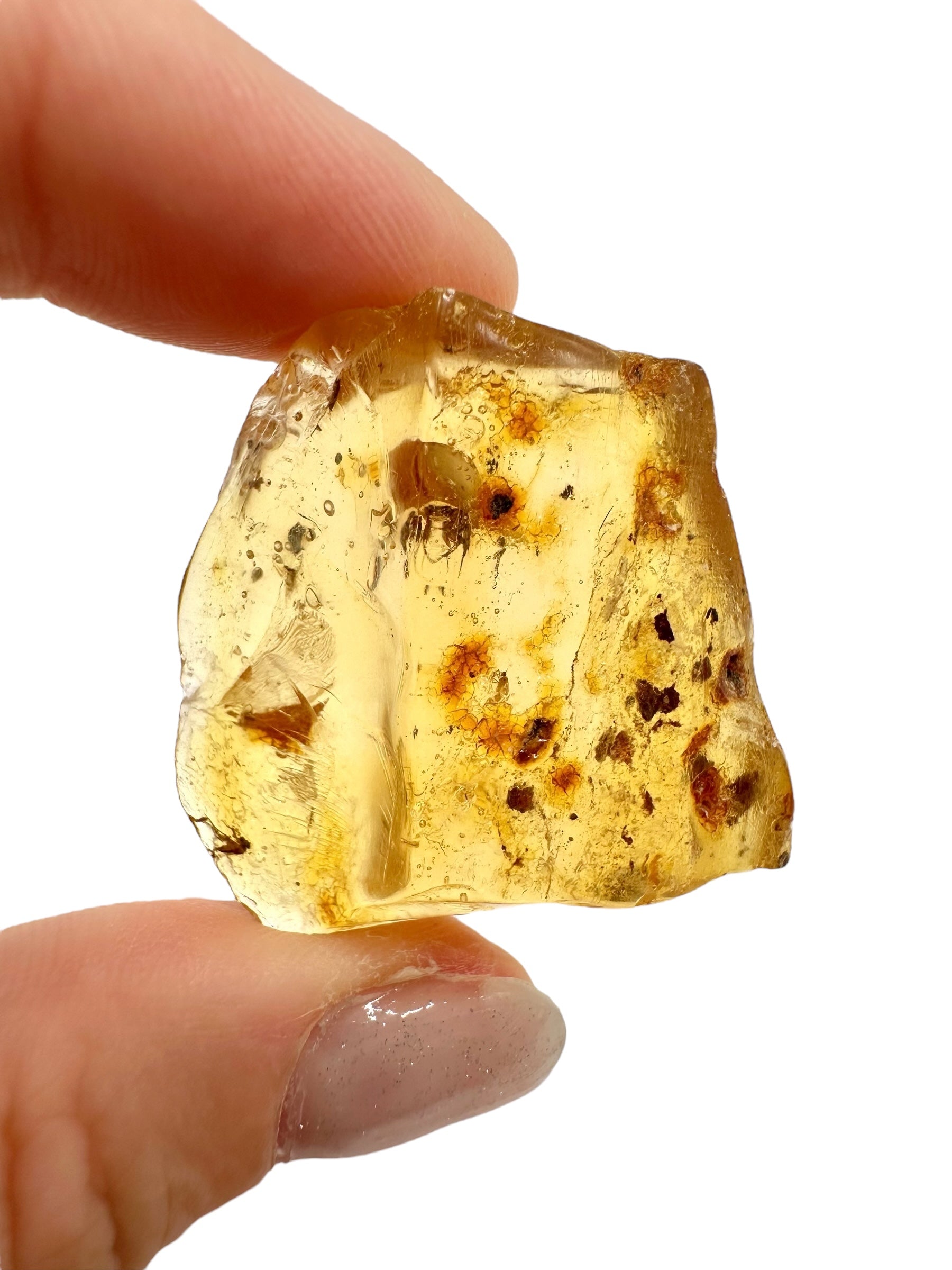 Insects in young amber (copal) 7,6g – Colombia - IK19