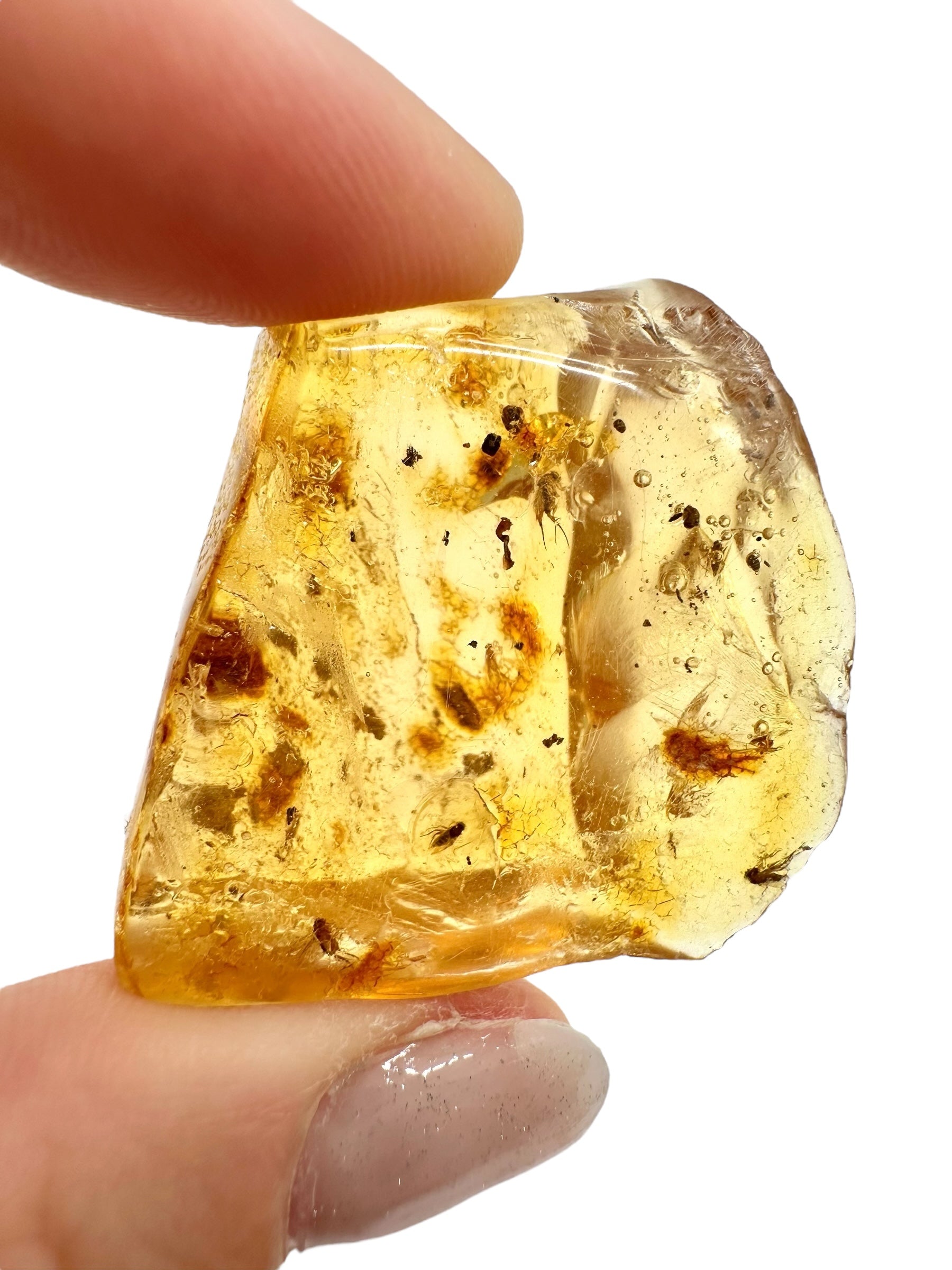 Insects in young amber (copal) 7,6g – Colombia
