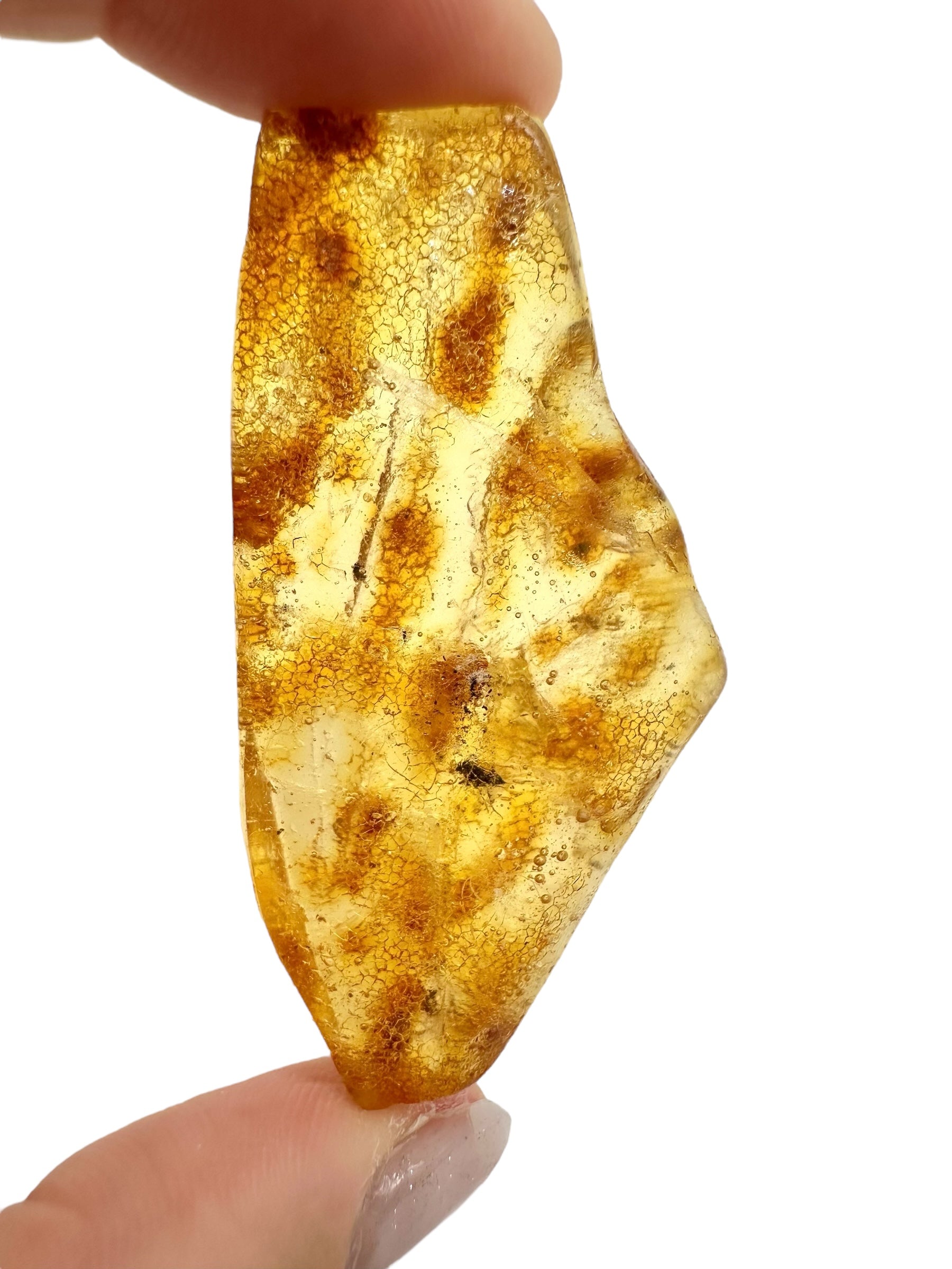 Insects in young amber (copal) 8,8g – Colombia - IK20