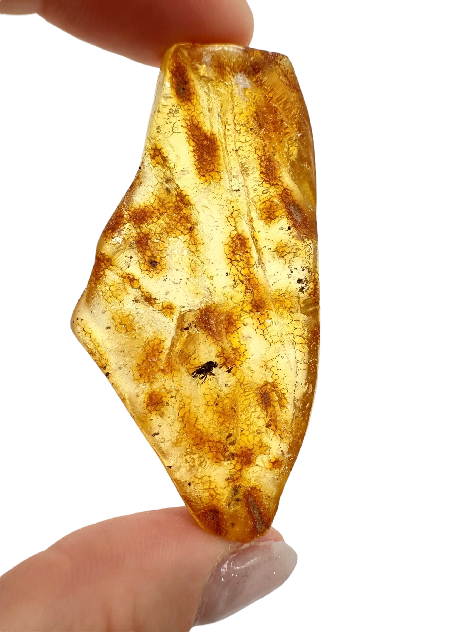 Insects in young amber (copal) 8,8g – Colombia
