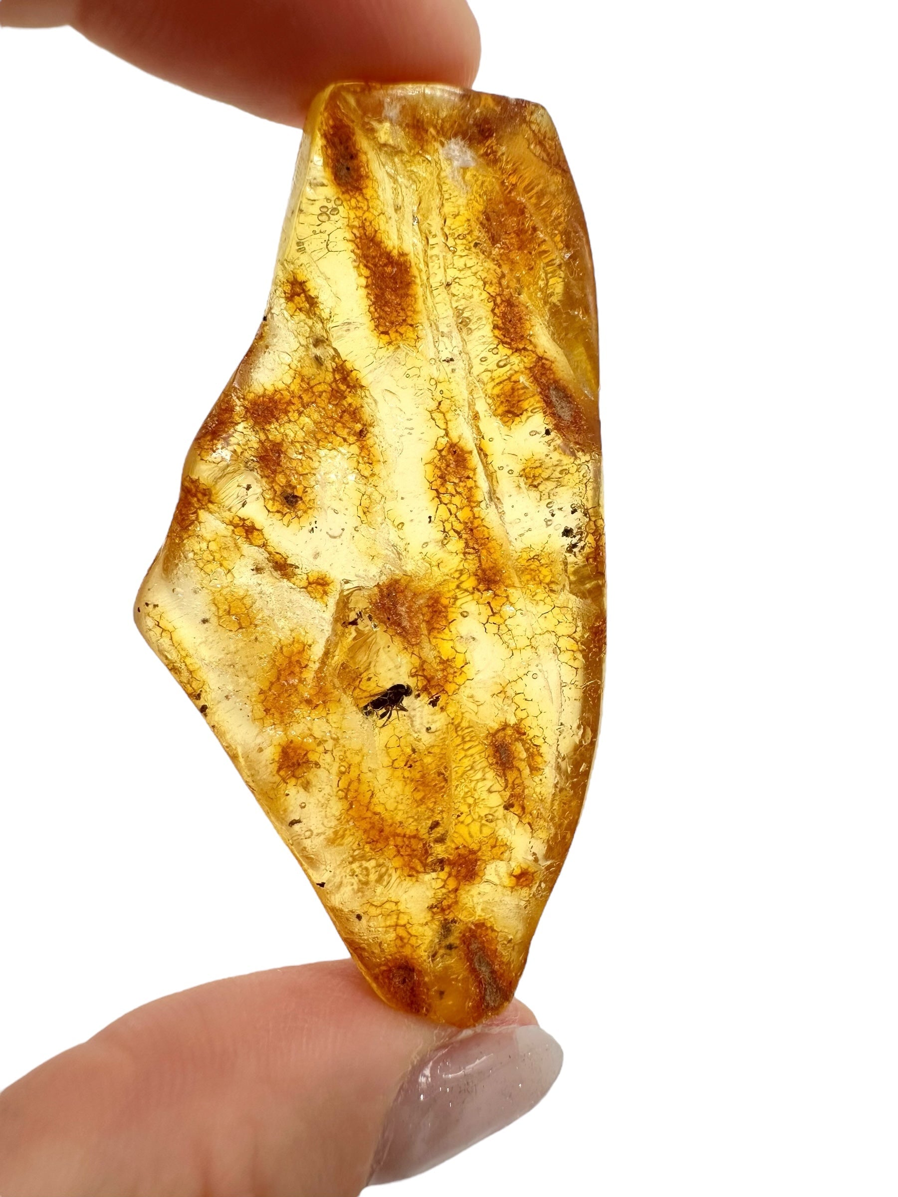 Insects in young amber (copal) 8,8g – Colombia