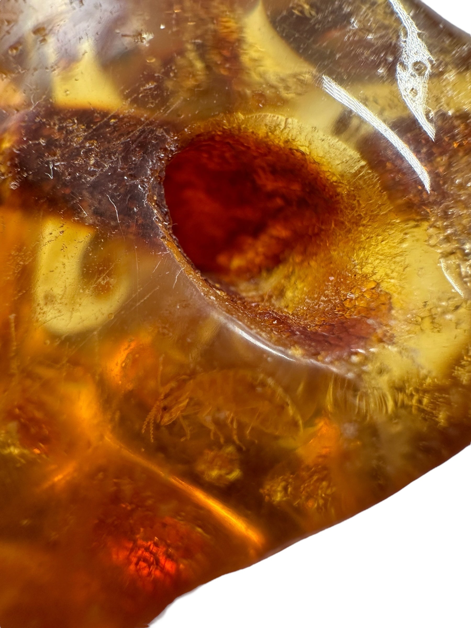 Insects in young amber (copal) 8,1g – Colombia - IK21