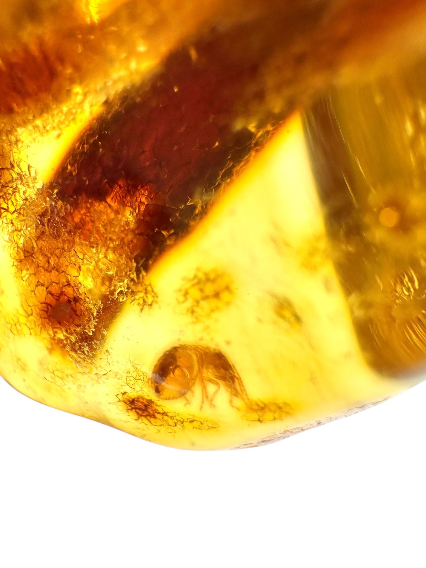Insects in young amber (copal) 8,1g – Colombia - IK21
