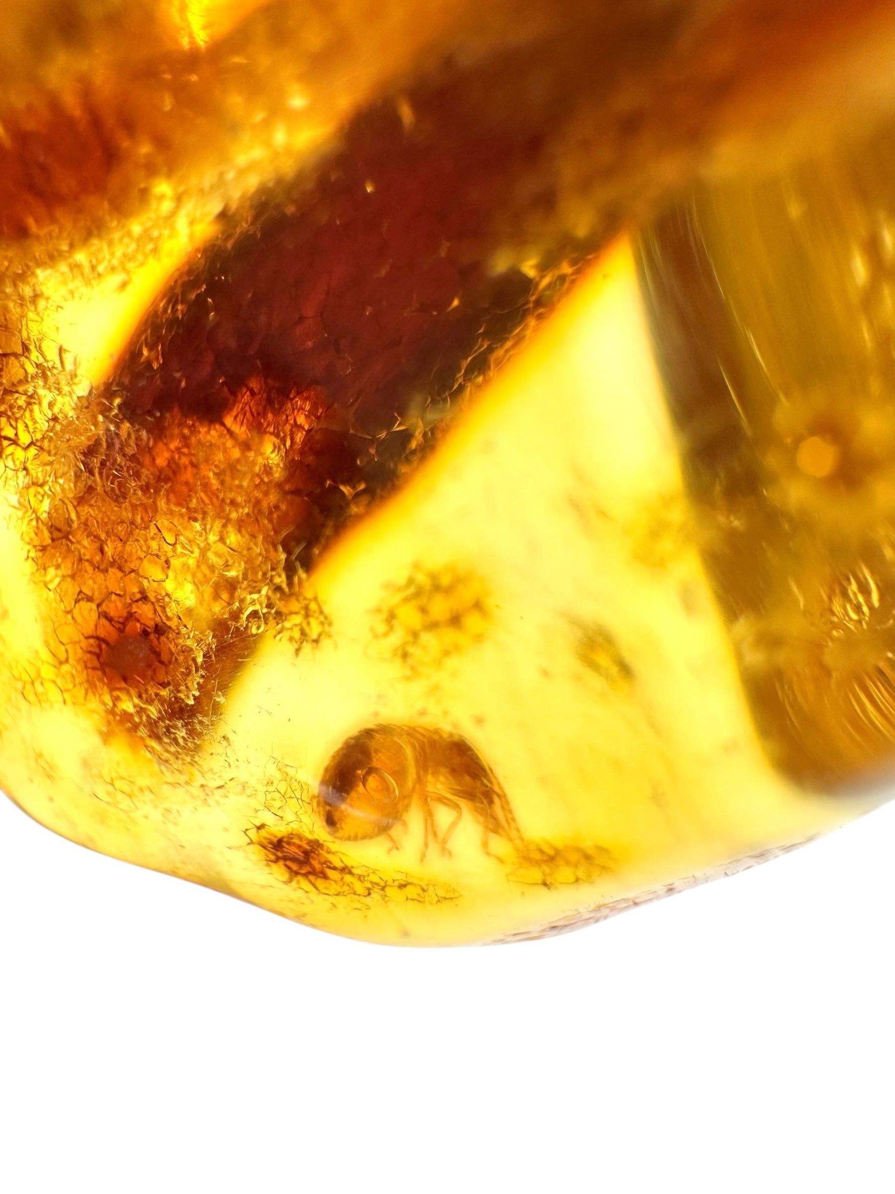Insects in young amber (copal) 8,1g – Colombia - IK21