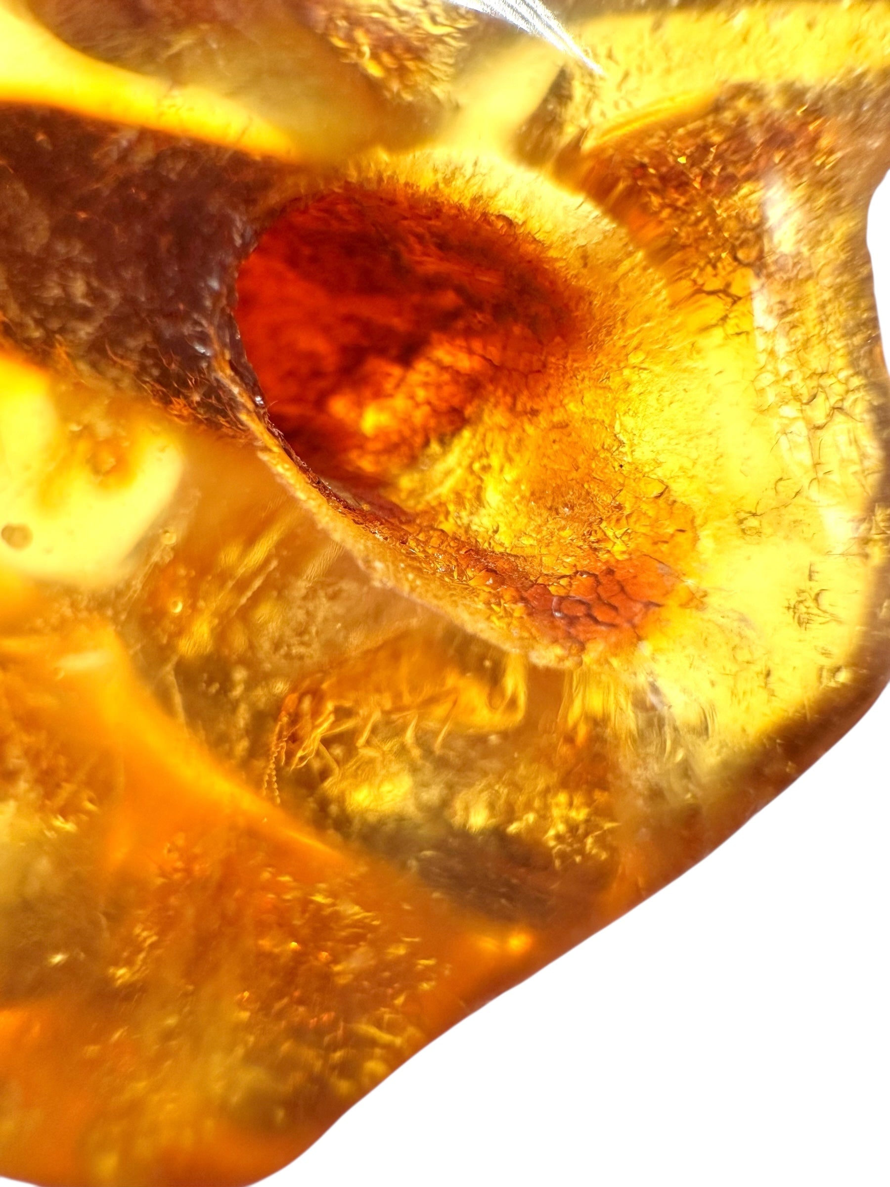 Insects in young amber (copal) 8,1g – Colombia - IK21