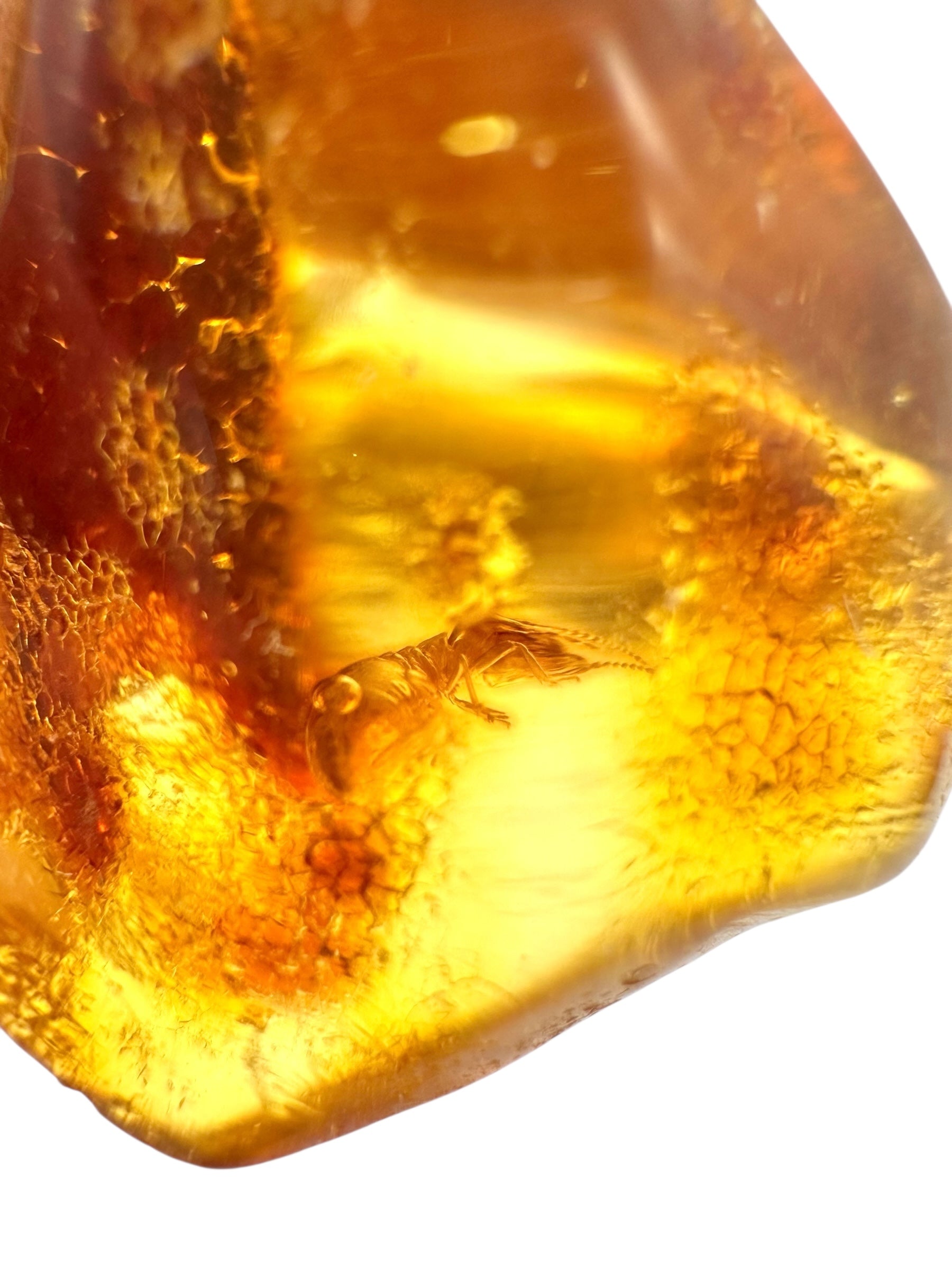 Insects in young amber (copal) 8,1g – Colombia - IK21