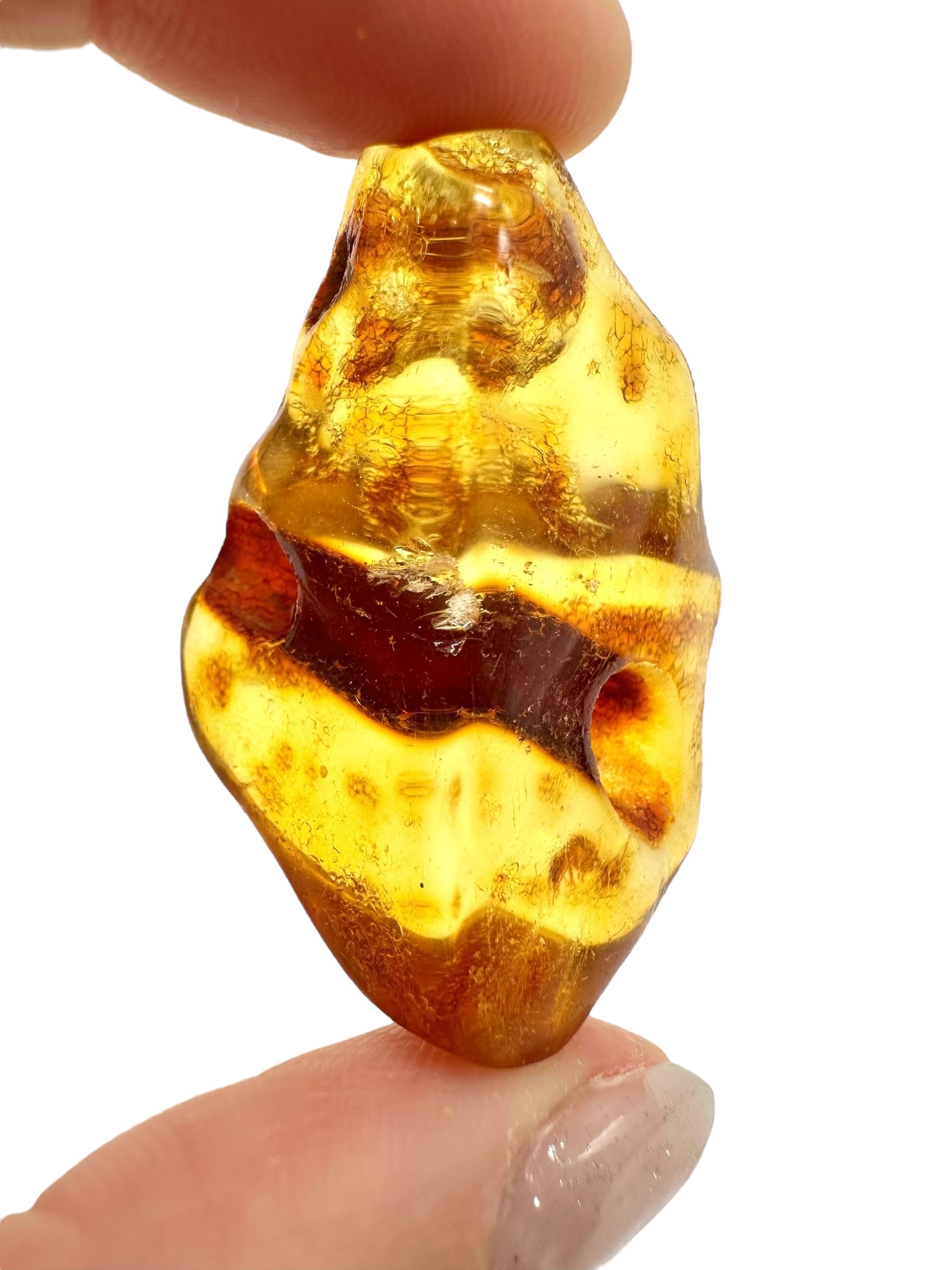 Insects in young amber (copal) 8,1g – Colombia - IK21