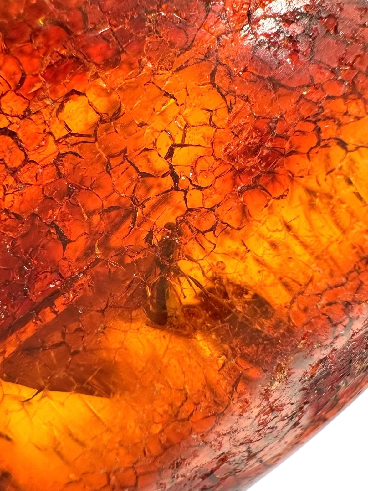 Insects in young amber (copal) 9,3g – Colombia - IK22