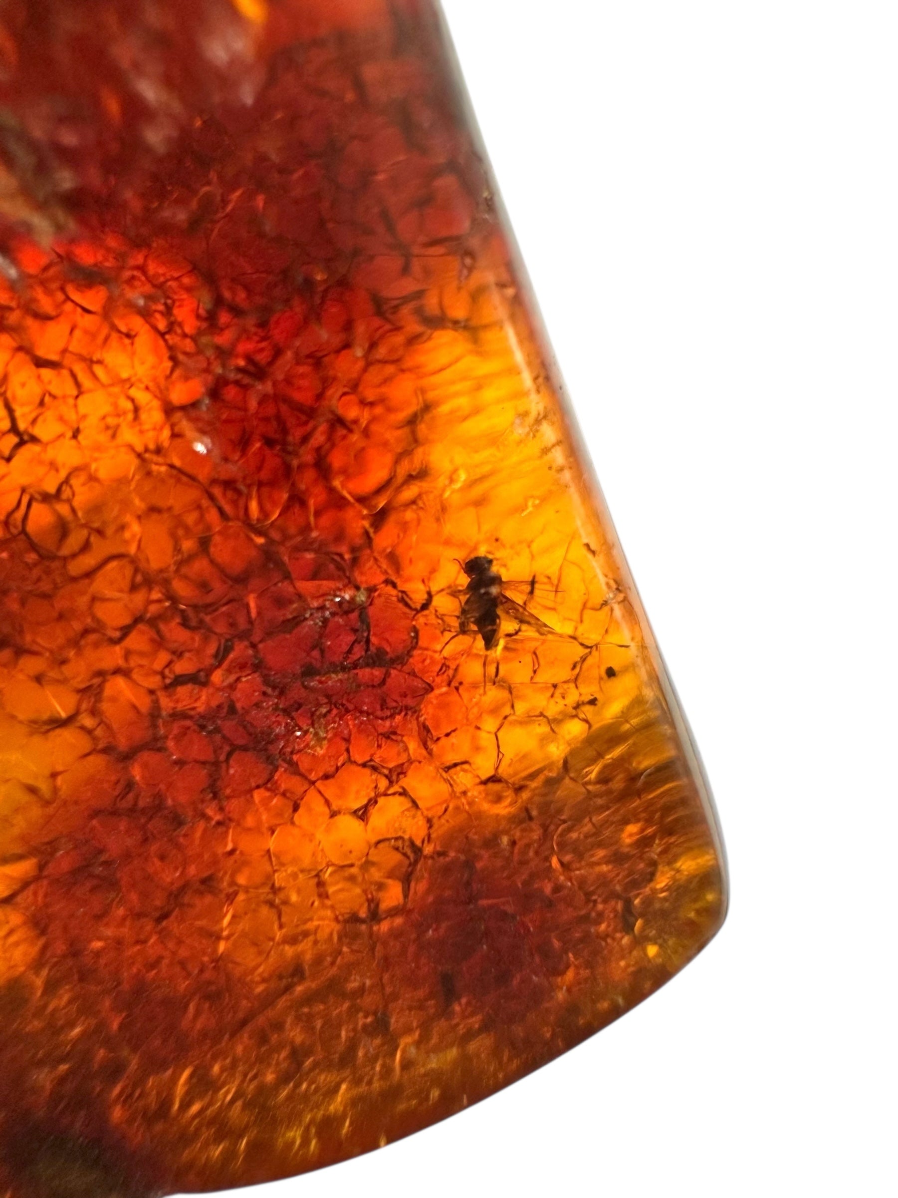 Insects in young amber (copal) 9,3g – Colombia - IK22