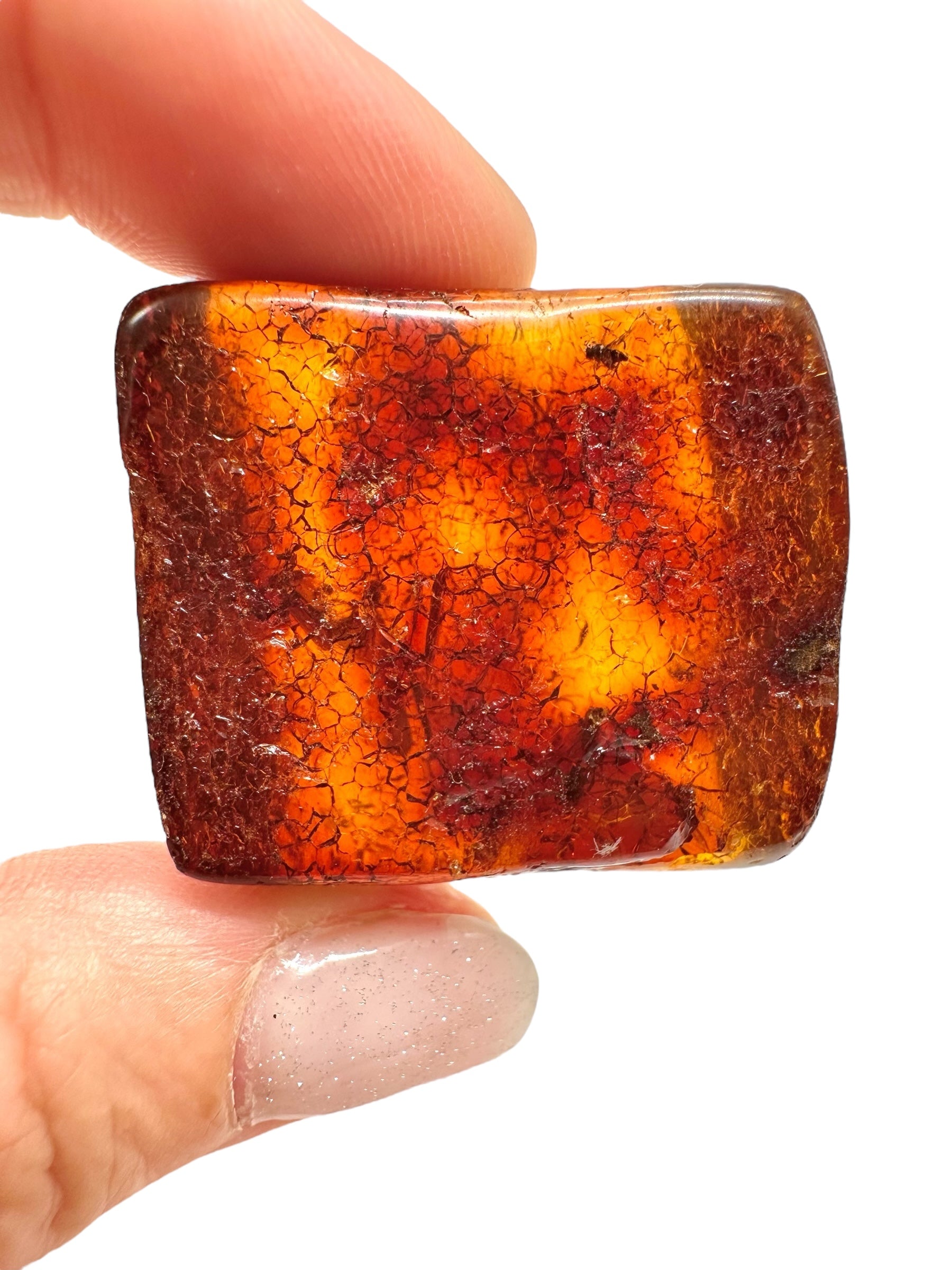 Insects in young amber (copal) 9,3g – Colombia - IK22