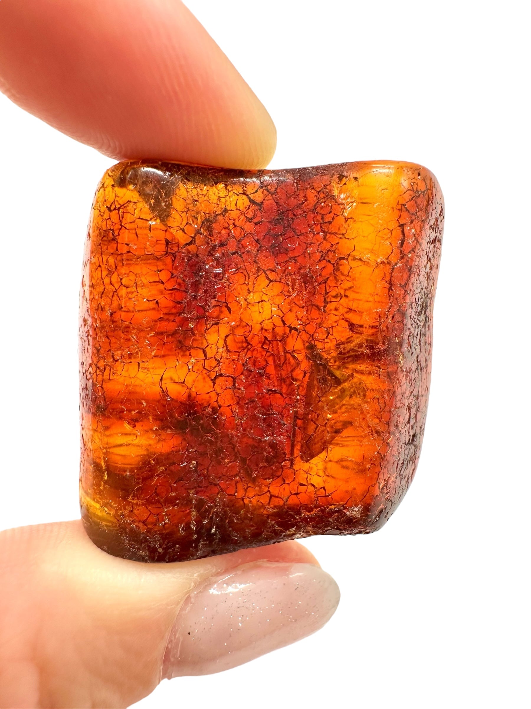 Insects in young amber (copal) 9,3g – Colombia