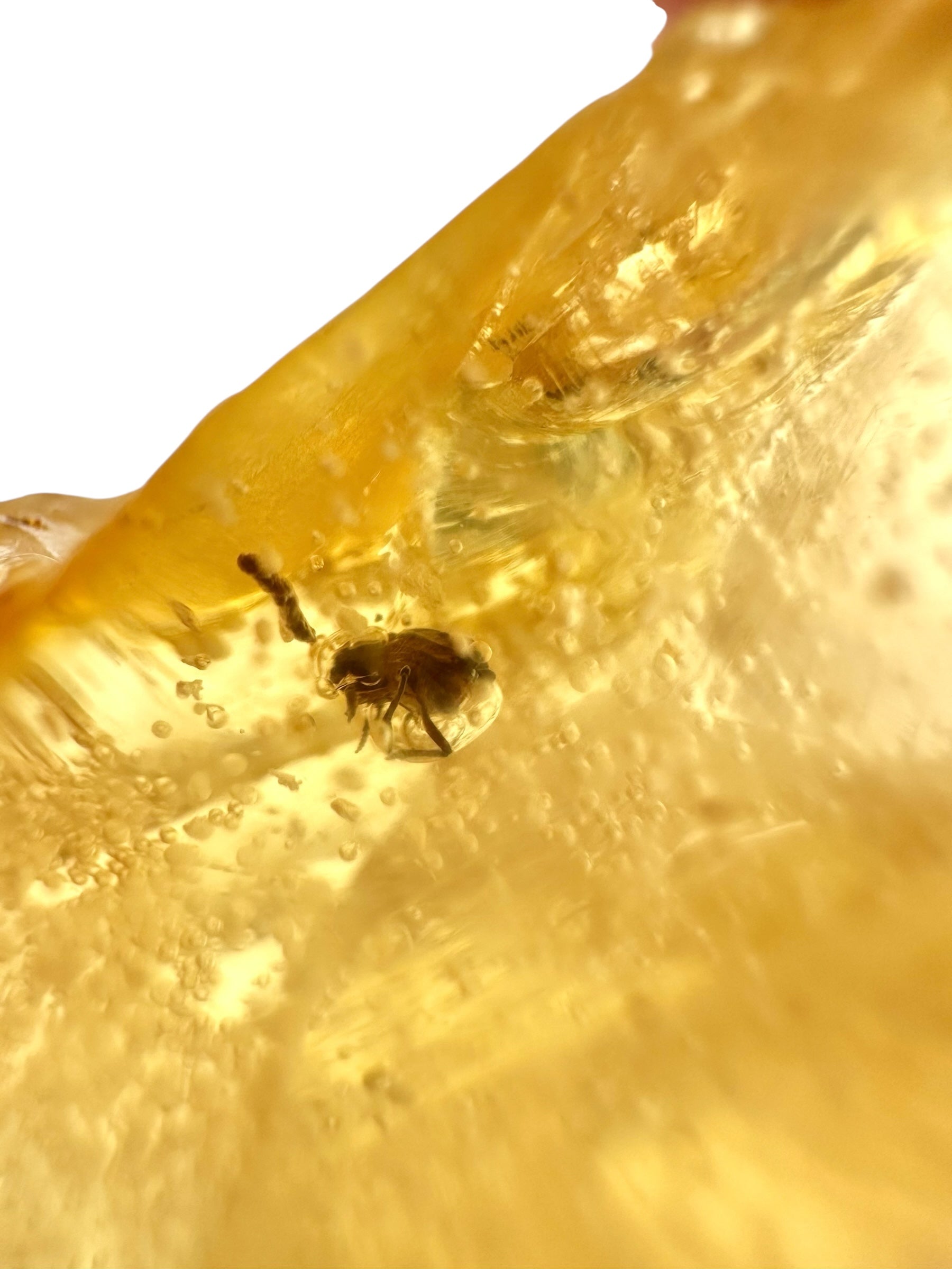 Insects in young amber (copal) 8,2g – Colombia - IK23
