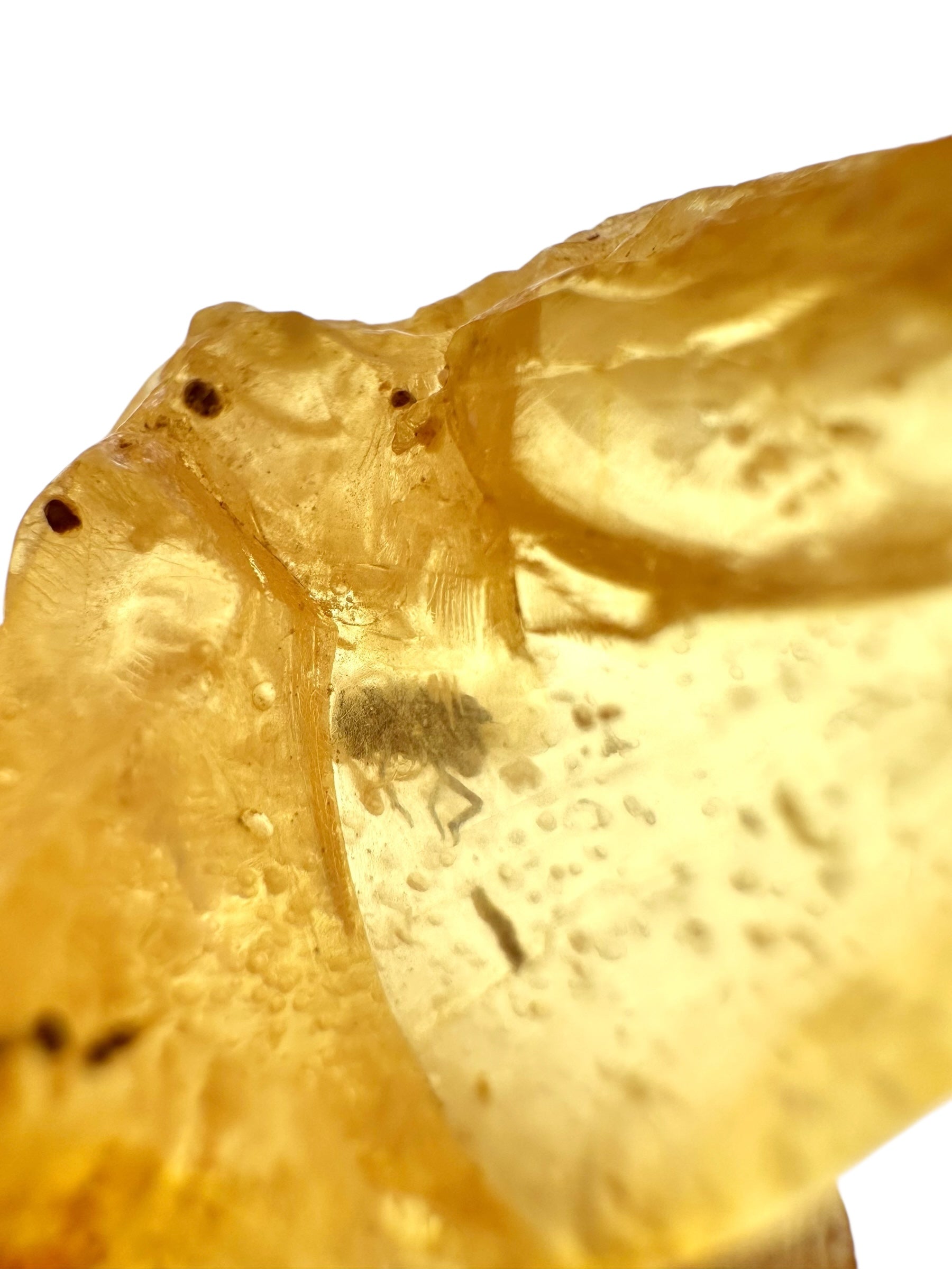 Insects in young amber (copal) 8,2g – Colombia - IK23