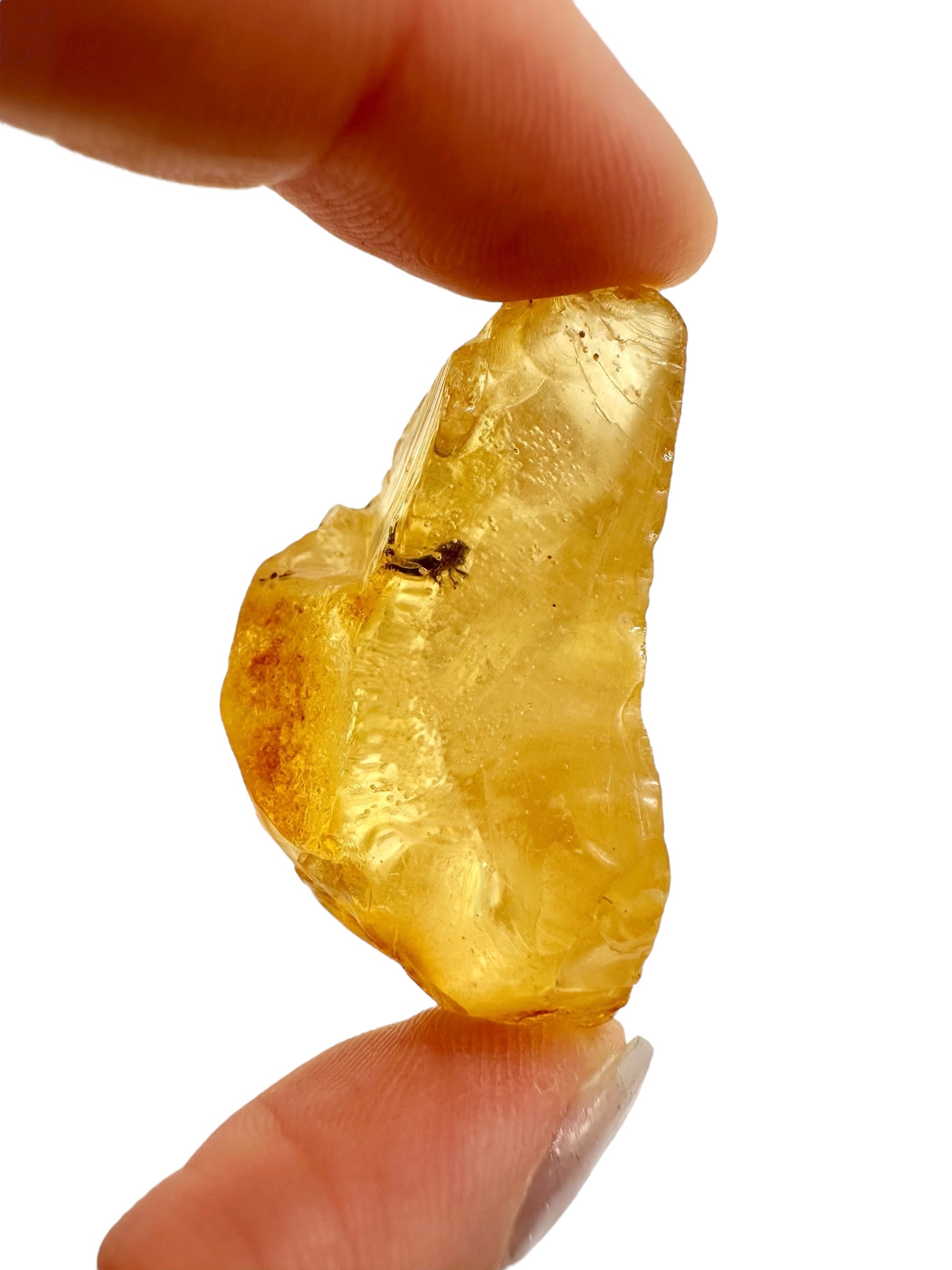 Insects in young amber (copal) 8,2g – Colombia