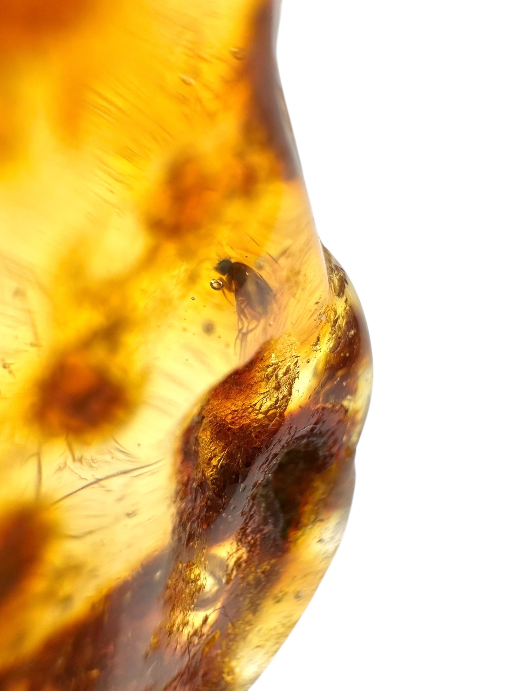 Insects in young amber (copal) 9,1g – Colombia - IK24